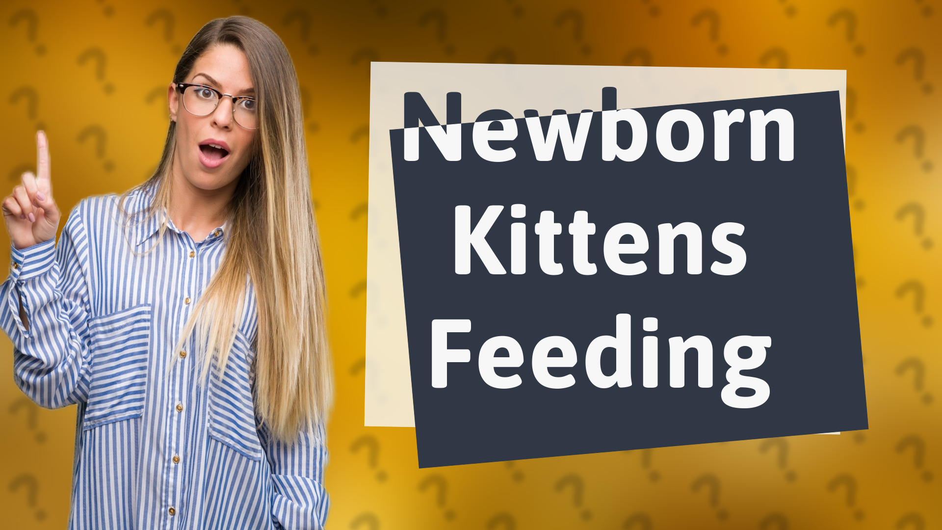 Newborn Kittens Feeding