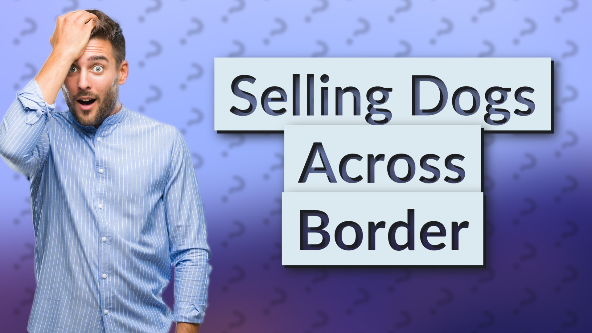 Selling Dogs Across Border