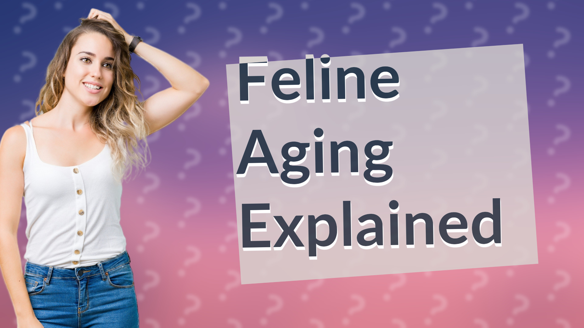 Feline Aging Explained
