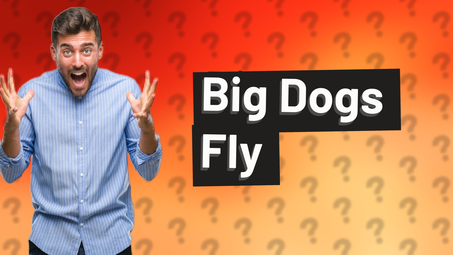 Big Dogs Fly