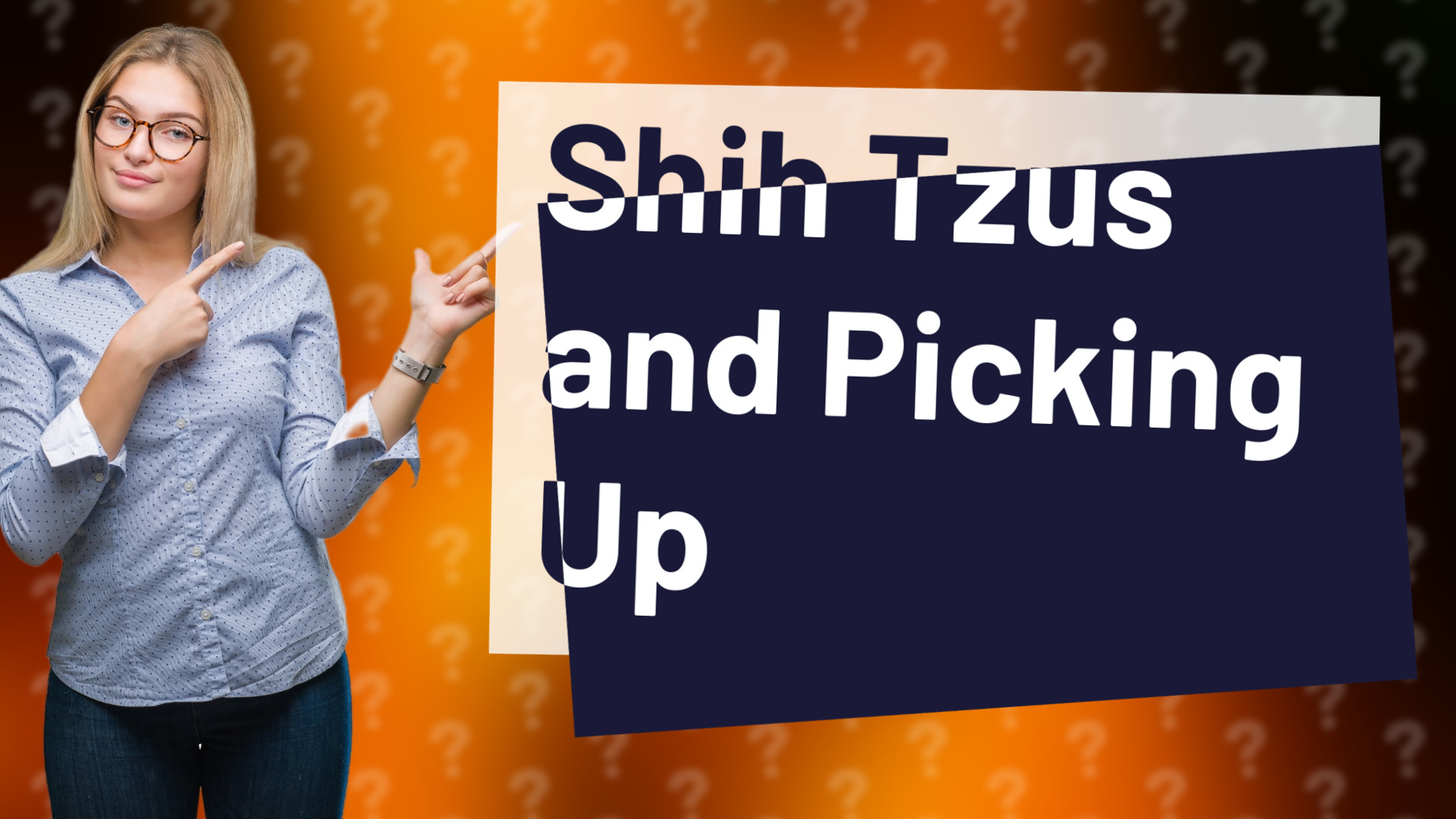 Shih Tzus and Picking Up