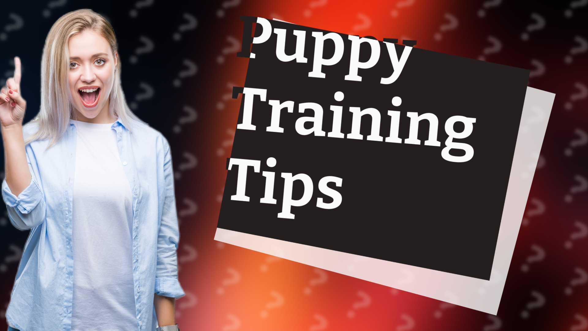 Puppy Training Tips