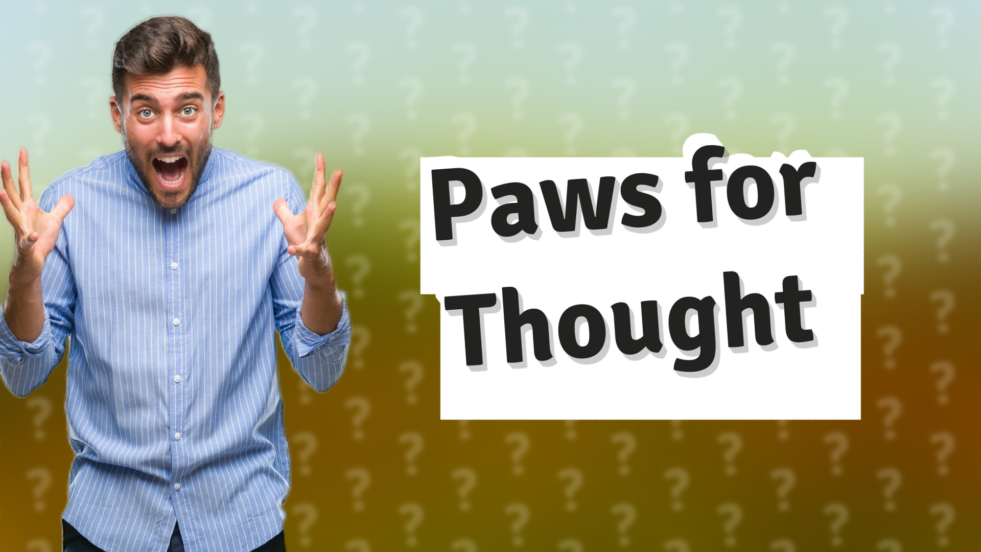 Paws for Thought