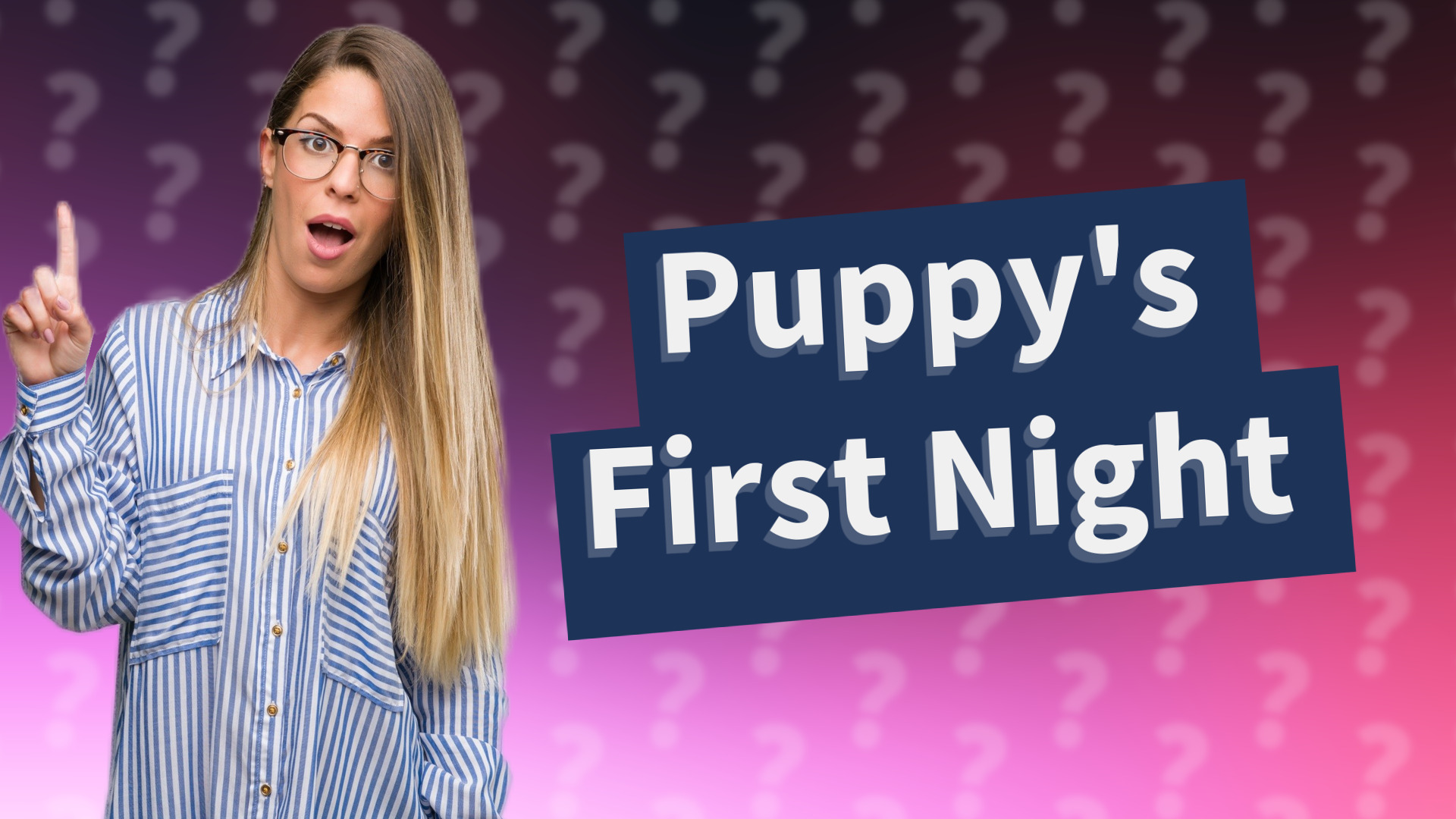 Puppy's First Night