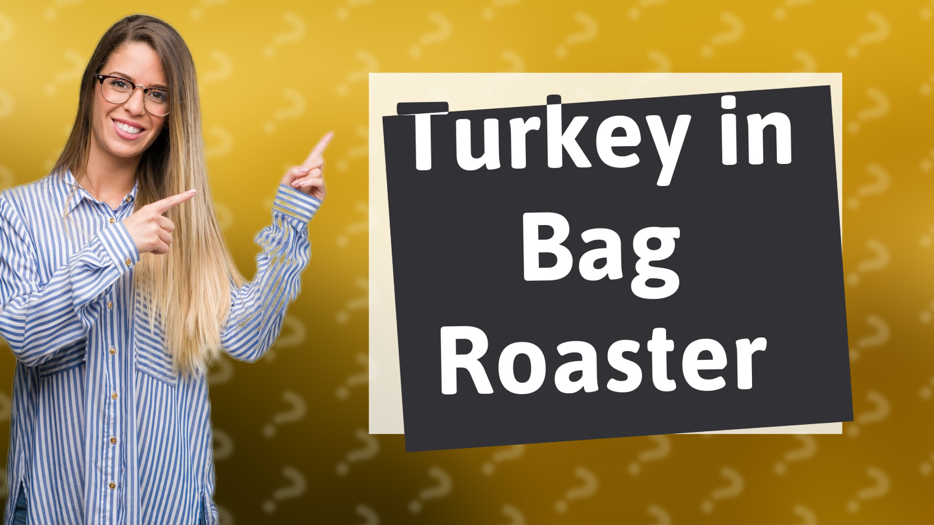 Turkey in Bag Roaster