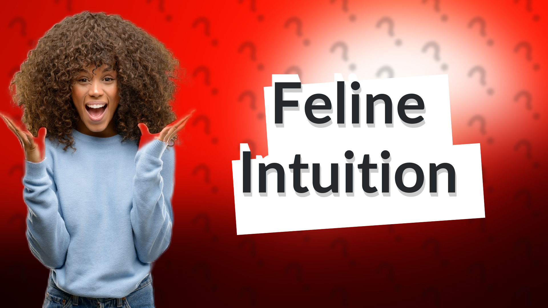 Feline Intuition