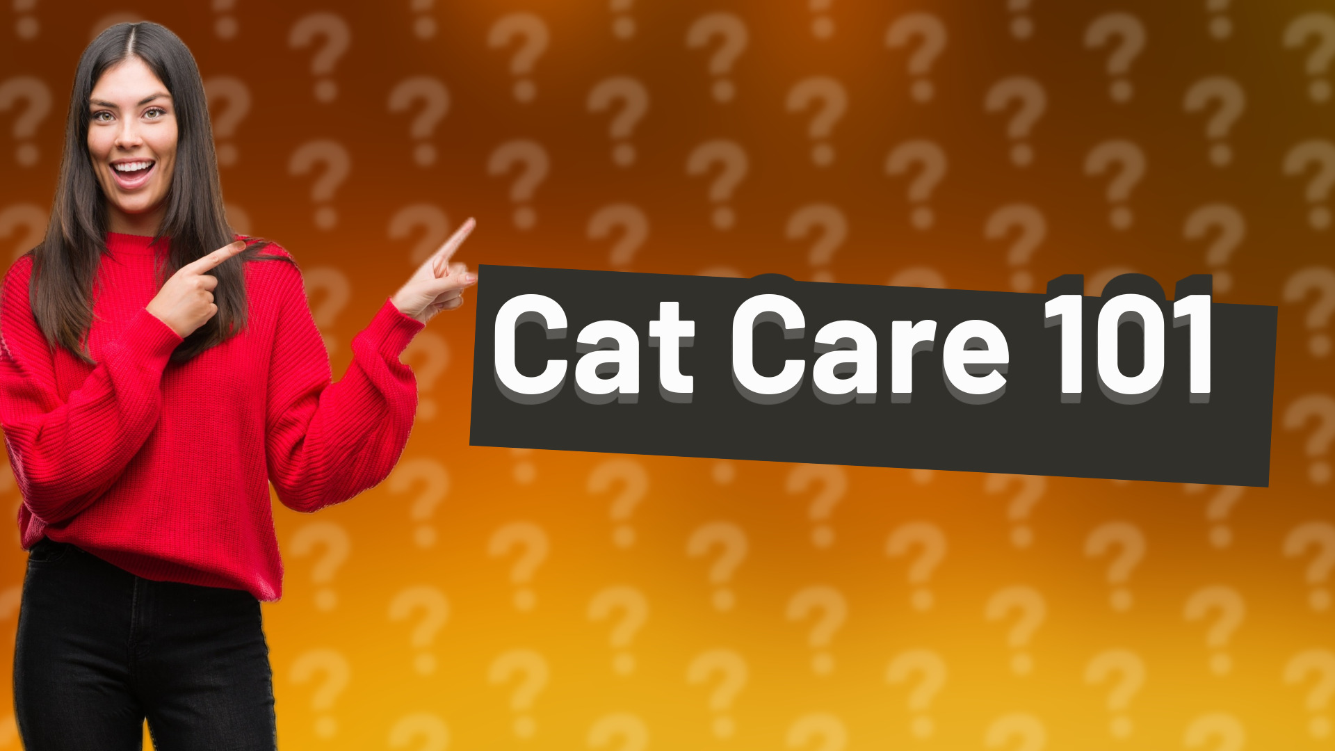 Cat Care 101