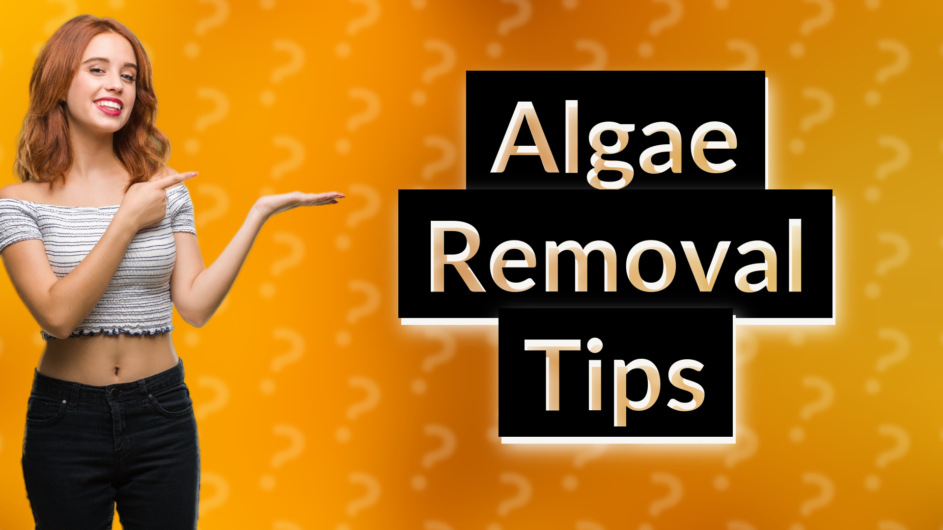 Algae Removal Tips