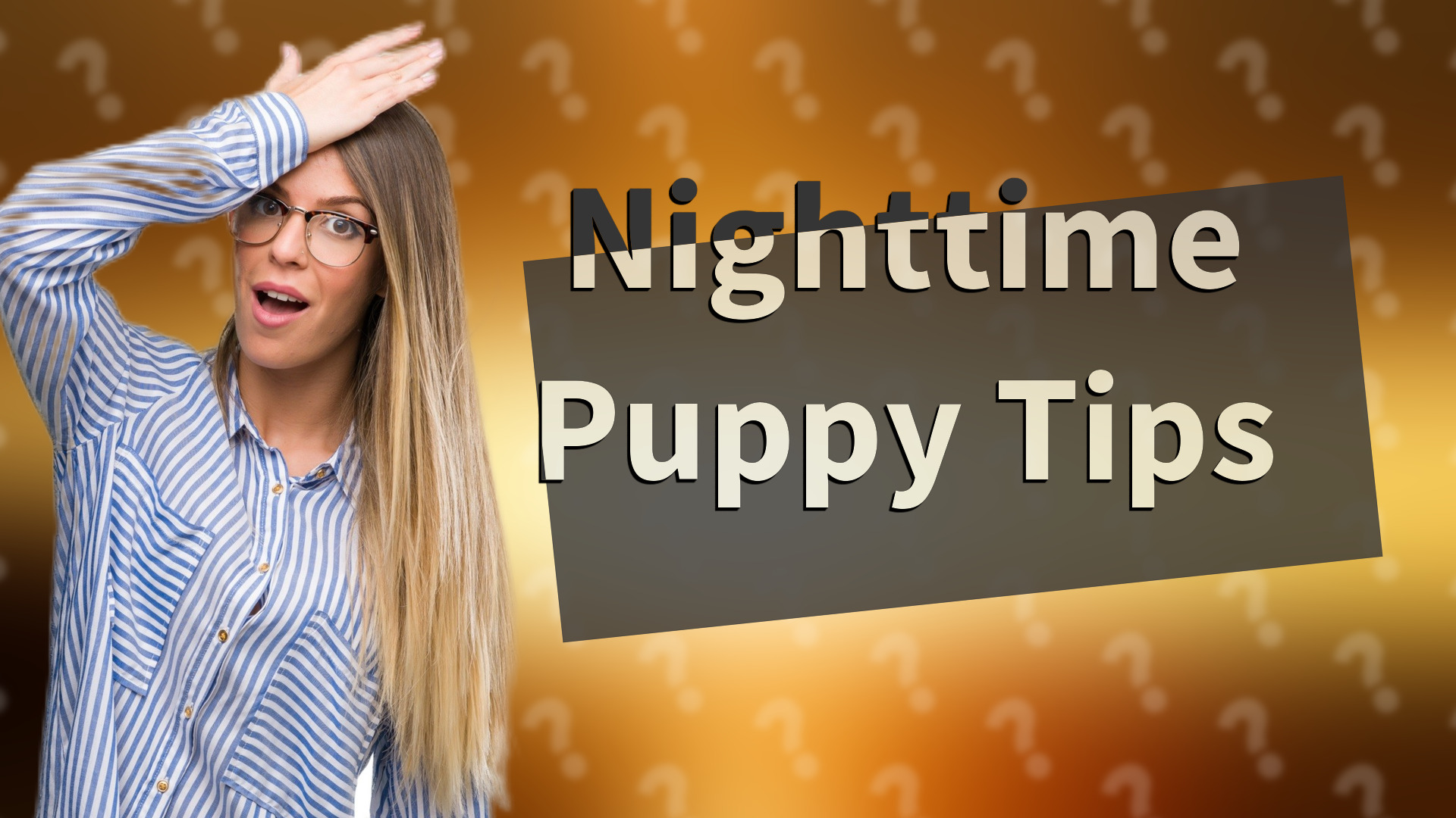 Nighttime Puppy Tips