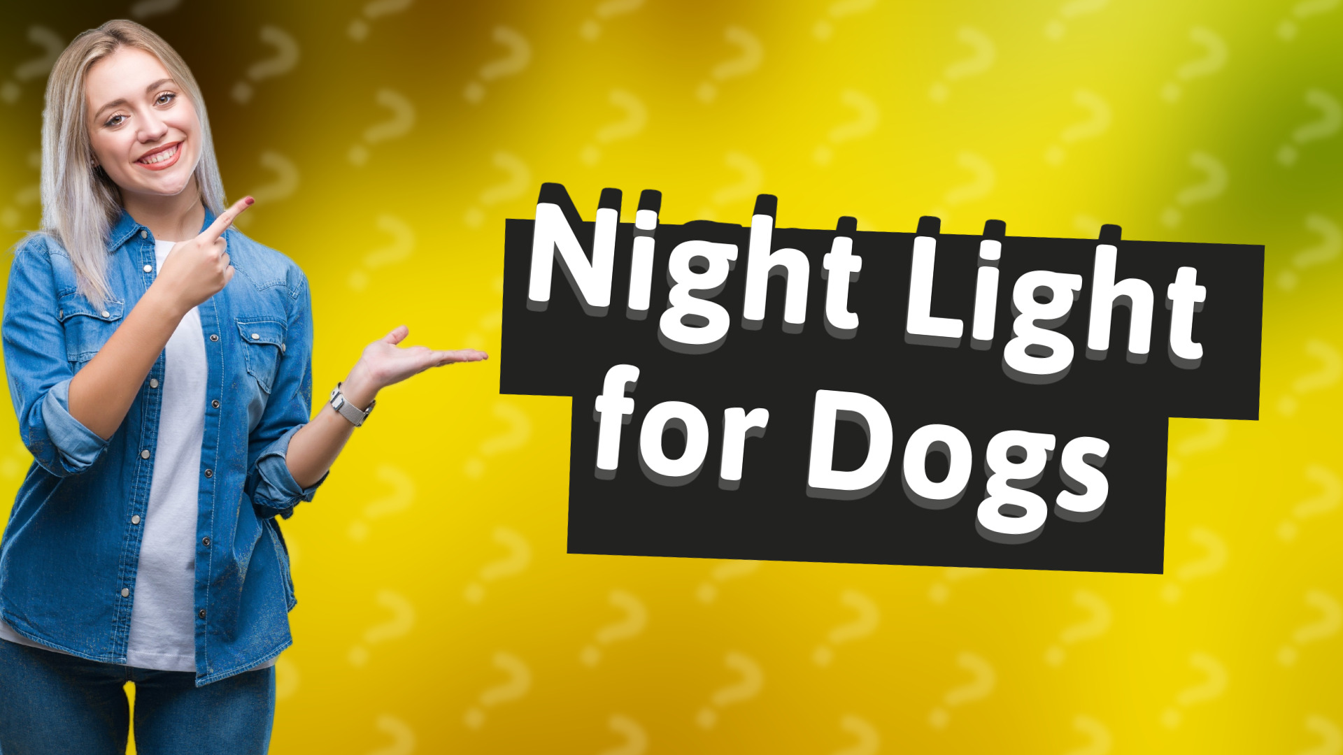 Night Light for Dogs