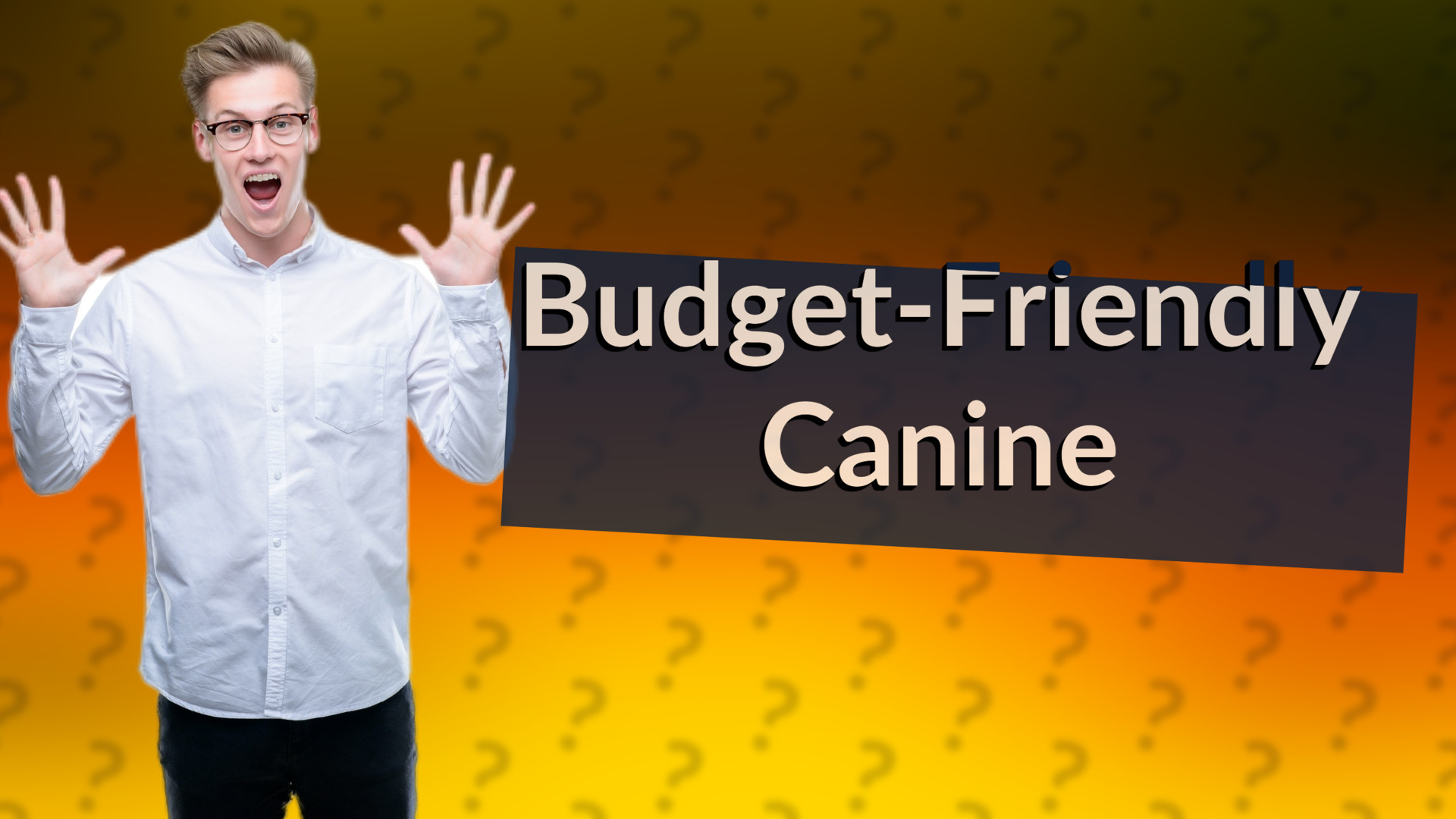Budget-Friendly Canine