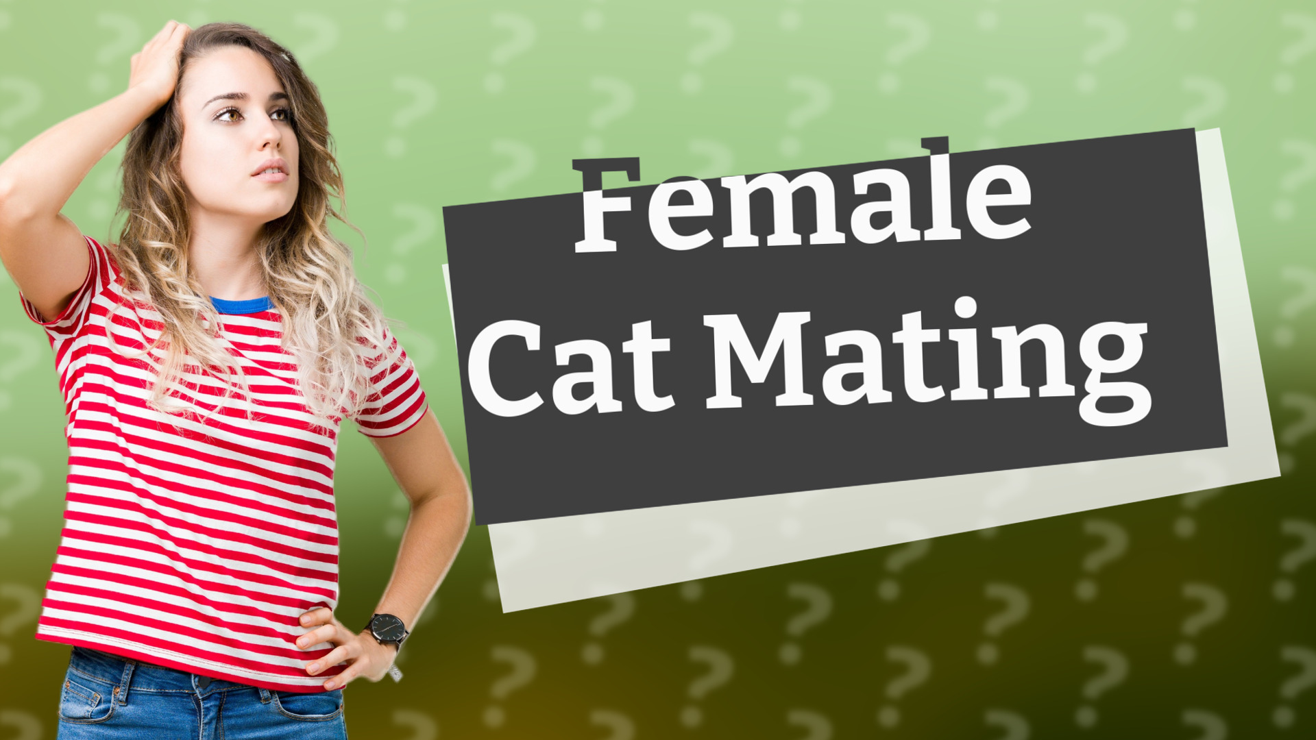 Female Cat Mating