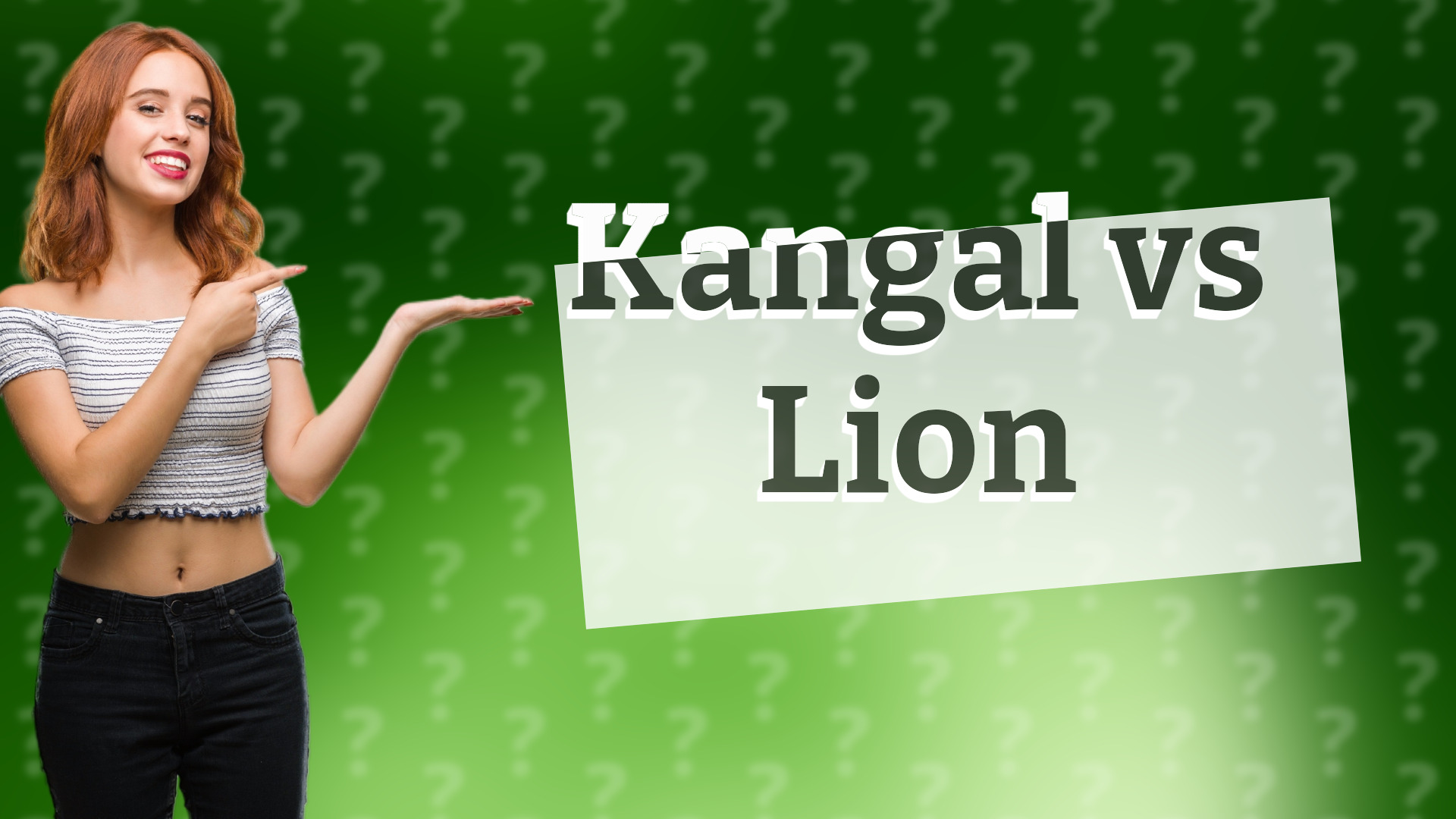Kangal vs Lion