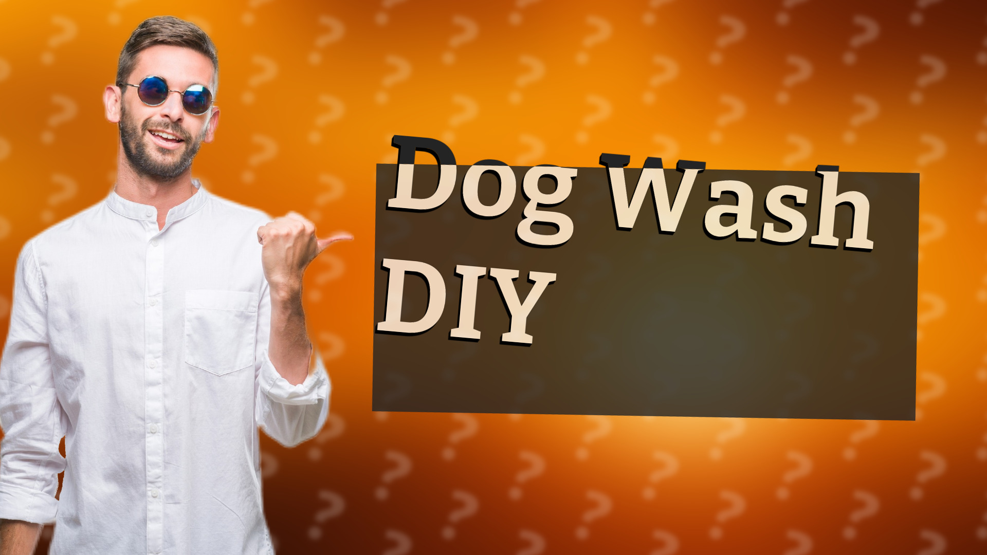 Dog Wash DIY