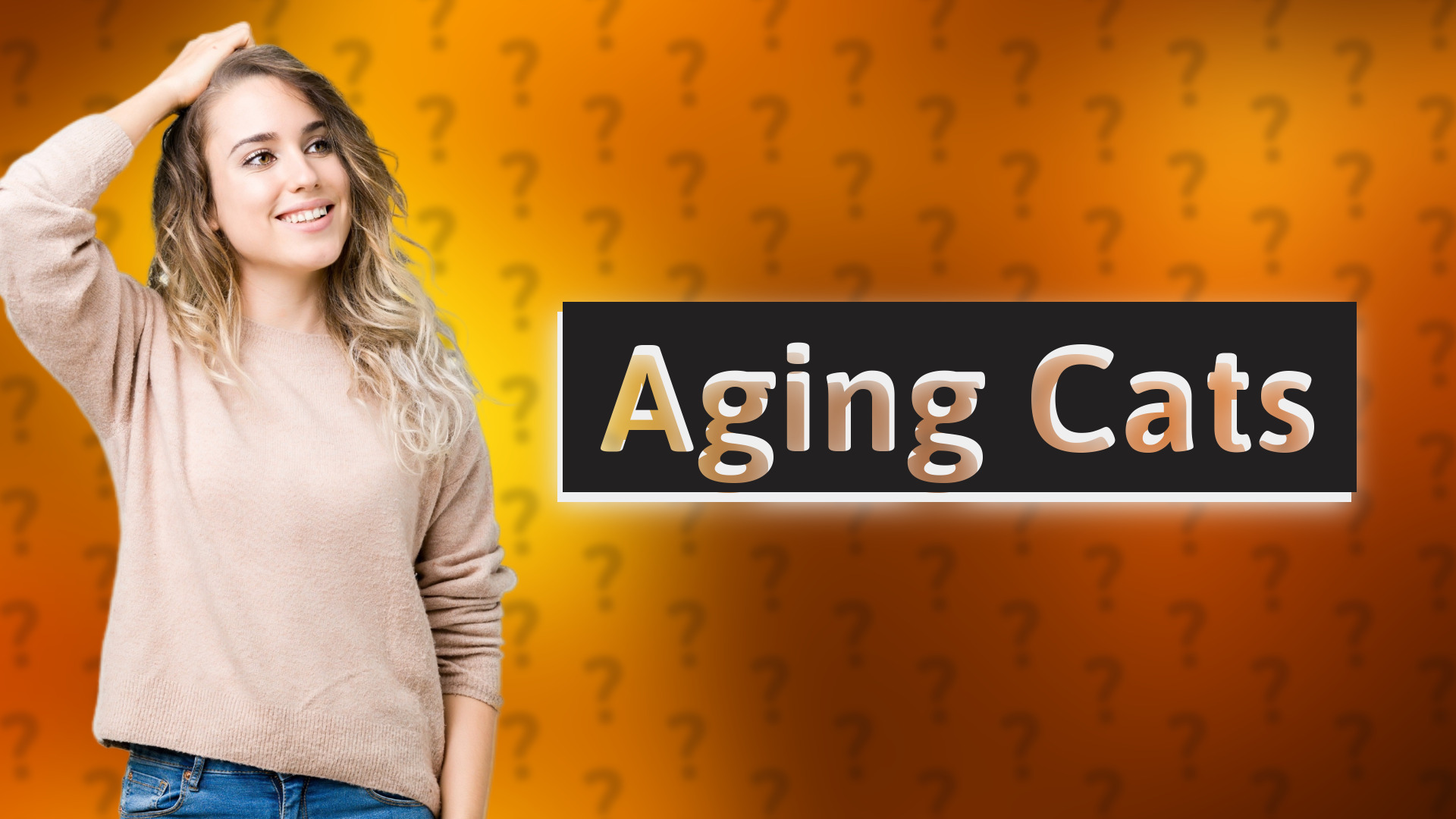 Aging Cats