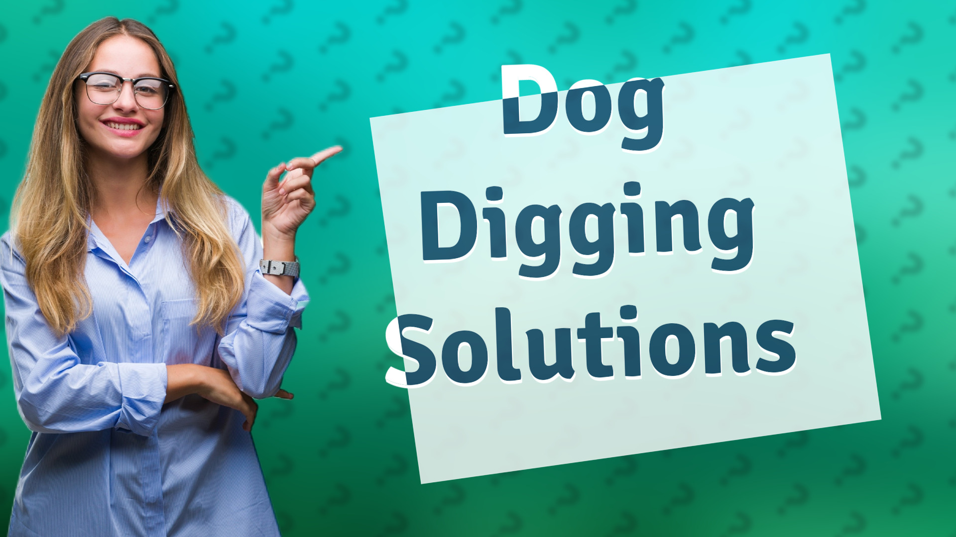 Dog Digging Solutions