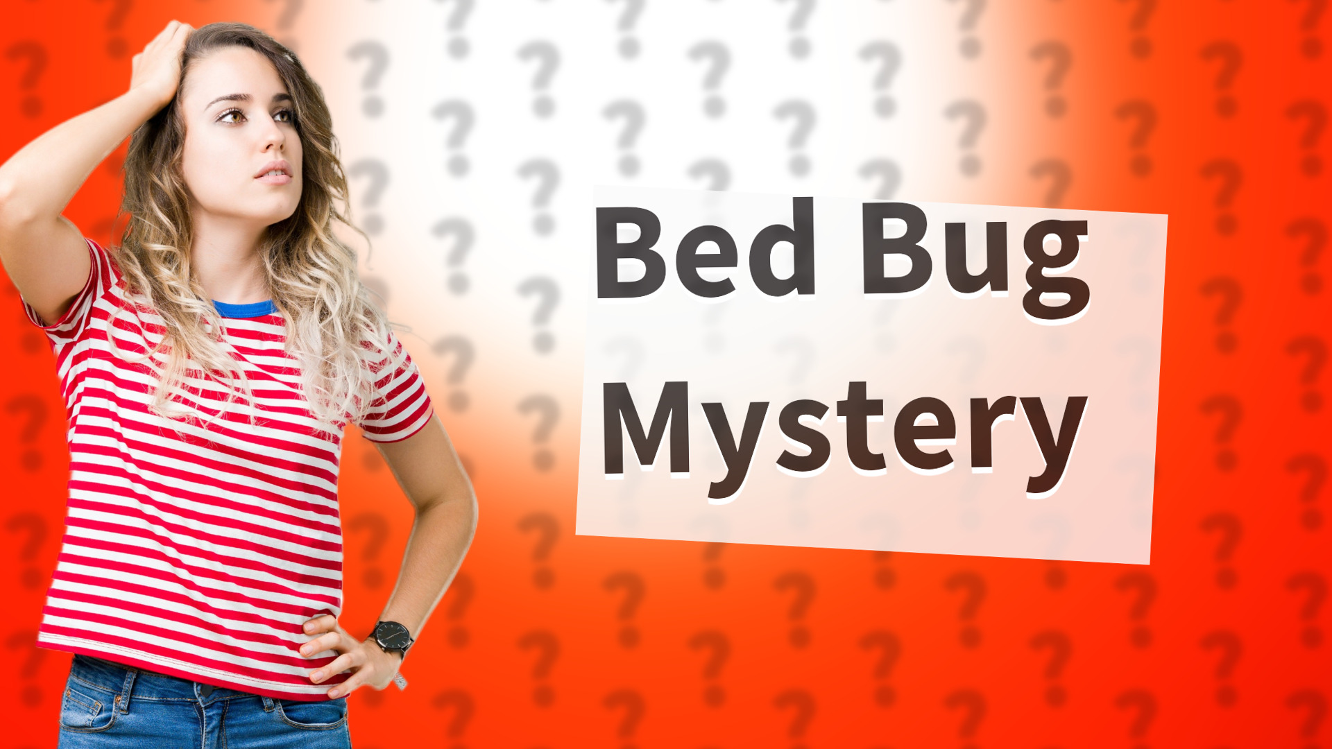 Bed Bug Mystery