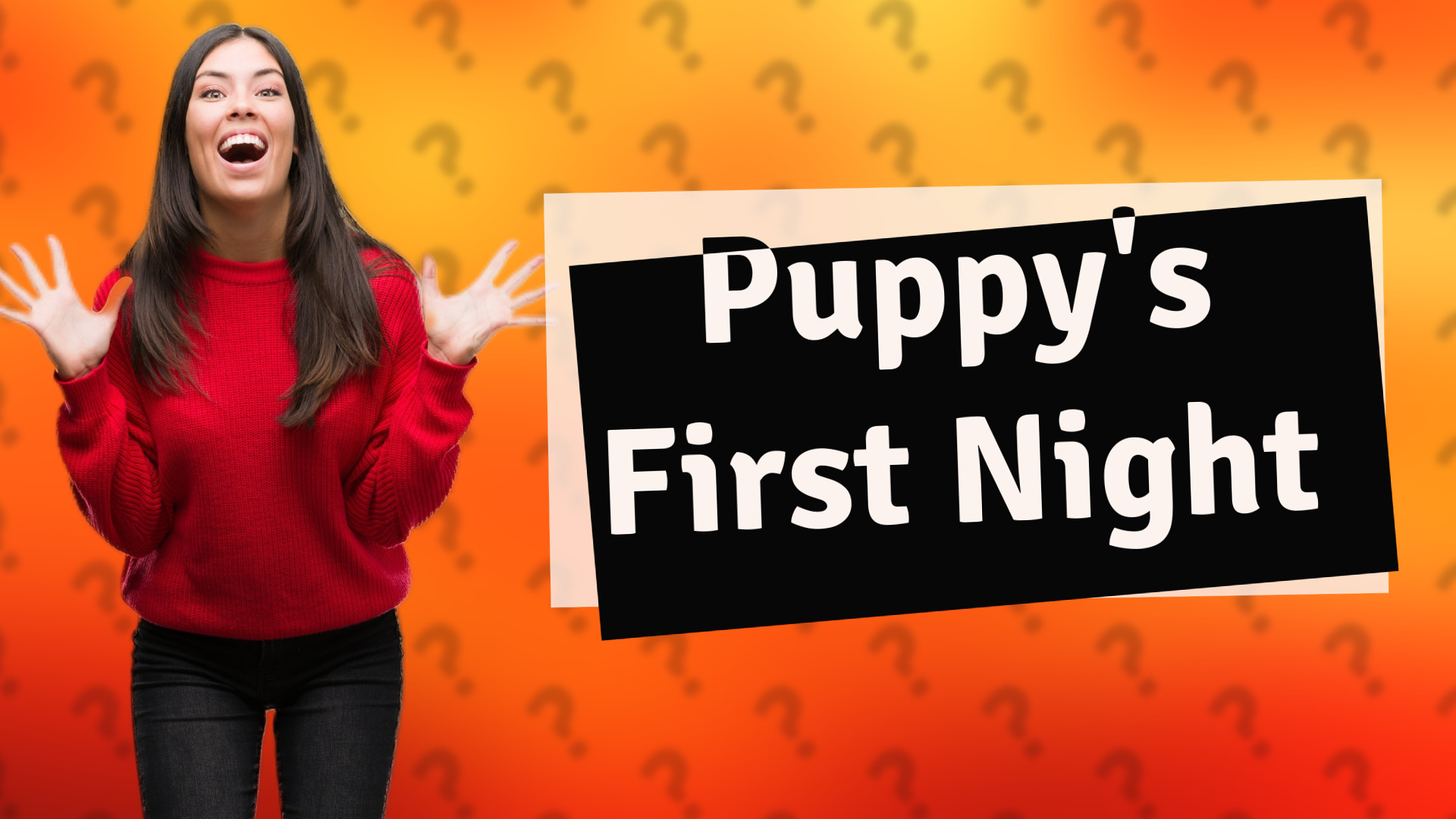 Puppy's First Night