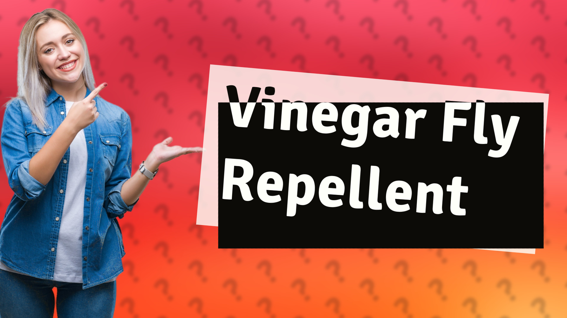 Vinegar Fly Repellent