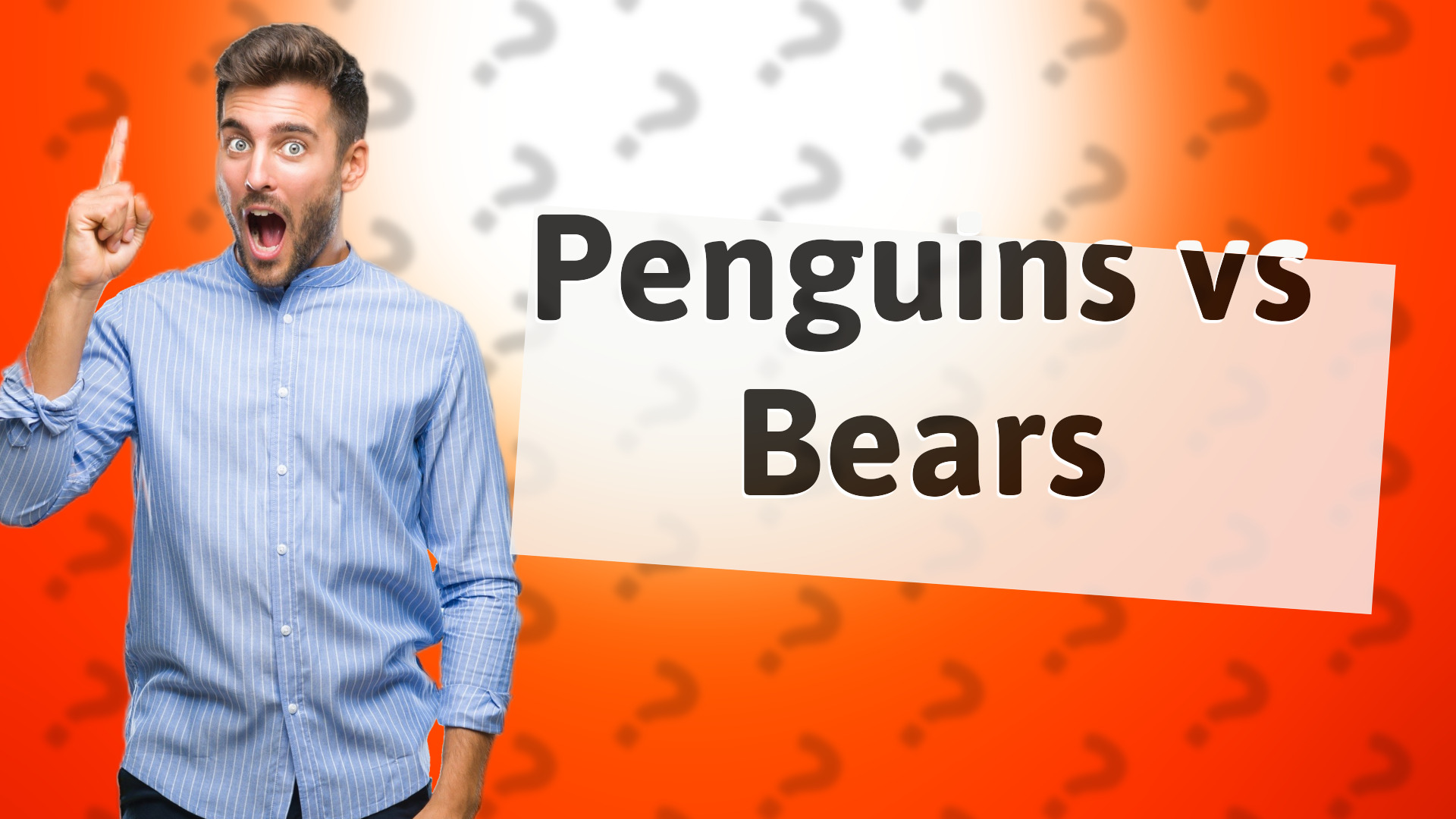 Penguins vs Bears