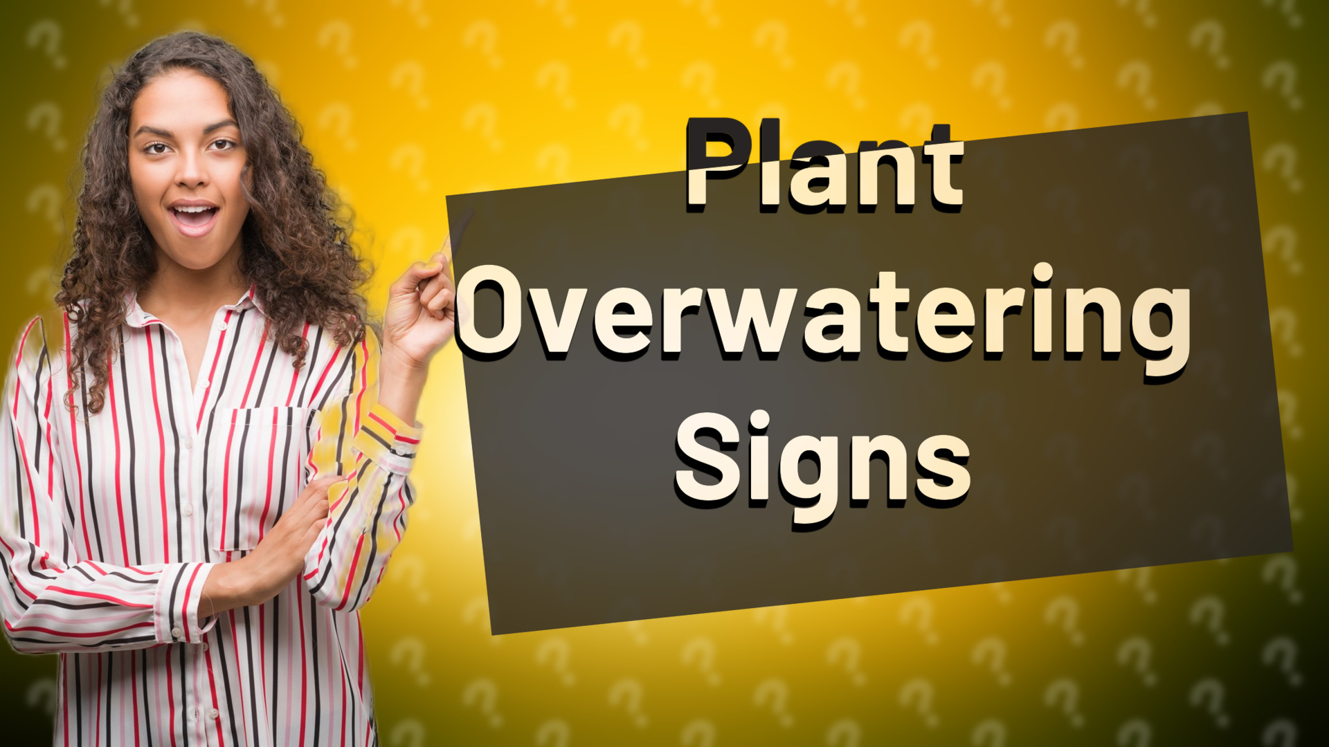 Plant Overwatering Signs