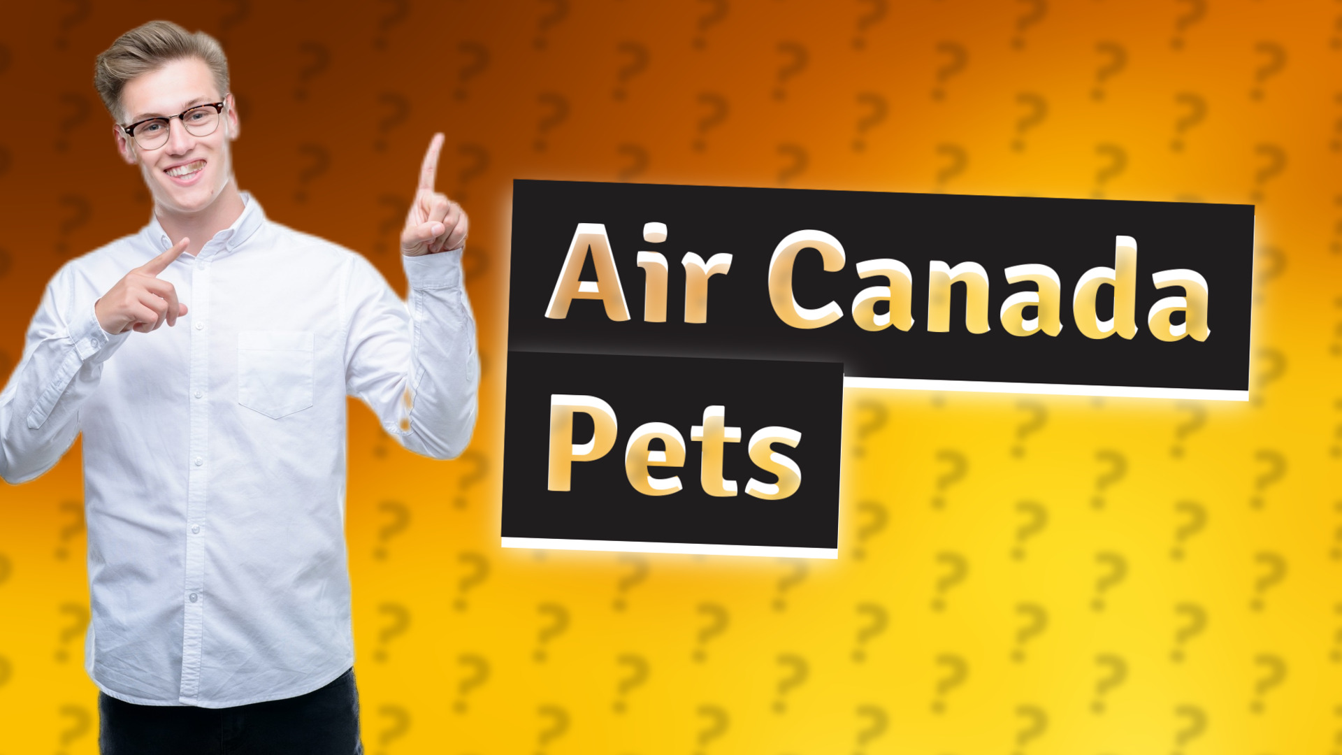 Air Canada Pets
