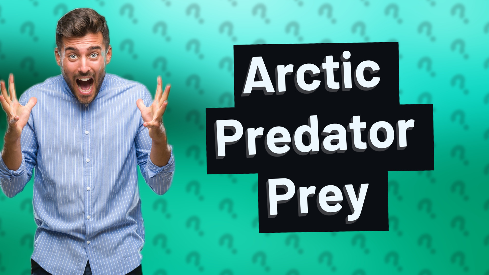 Arctic Predator Prey