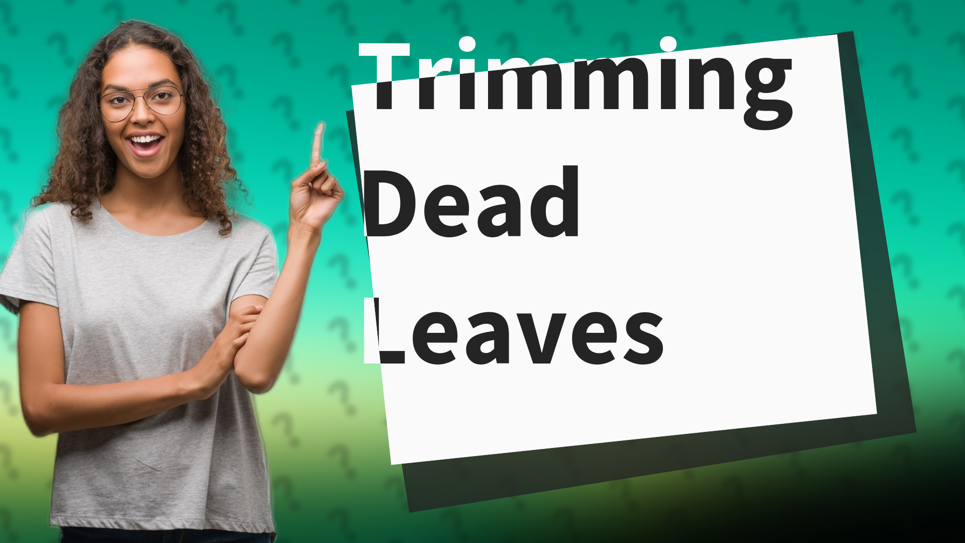 Trimming Dead Leaves