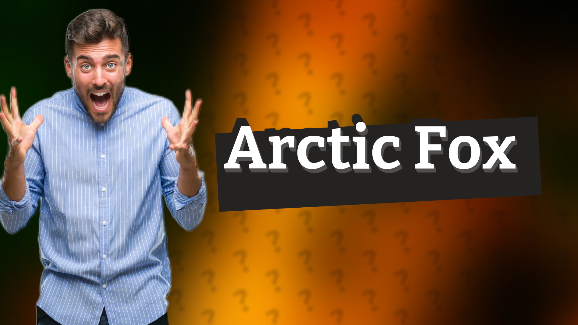 Arctic Fox