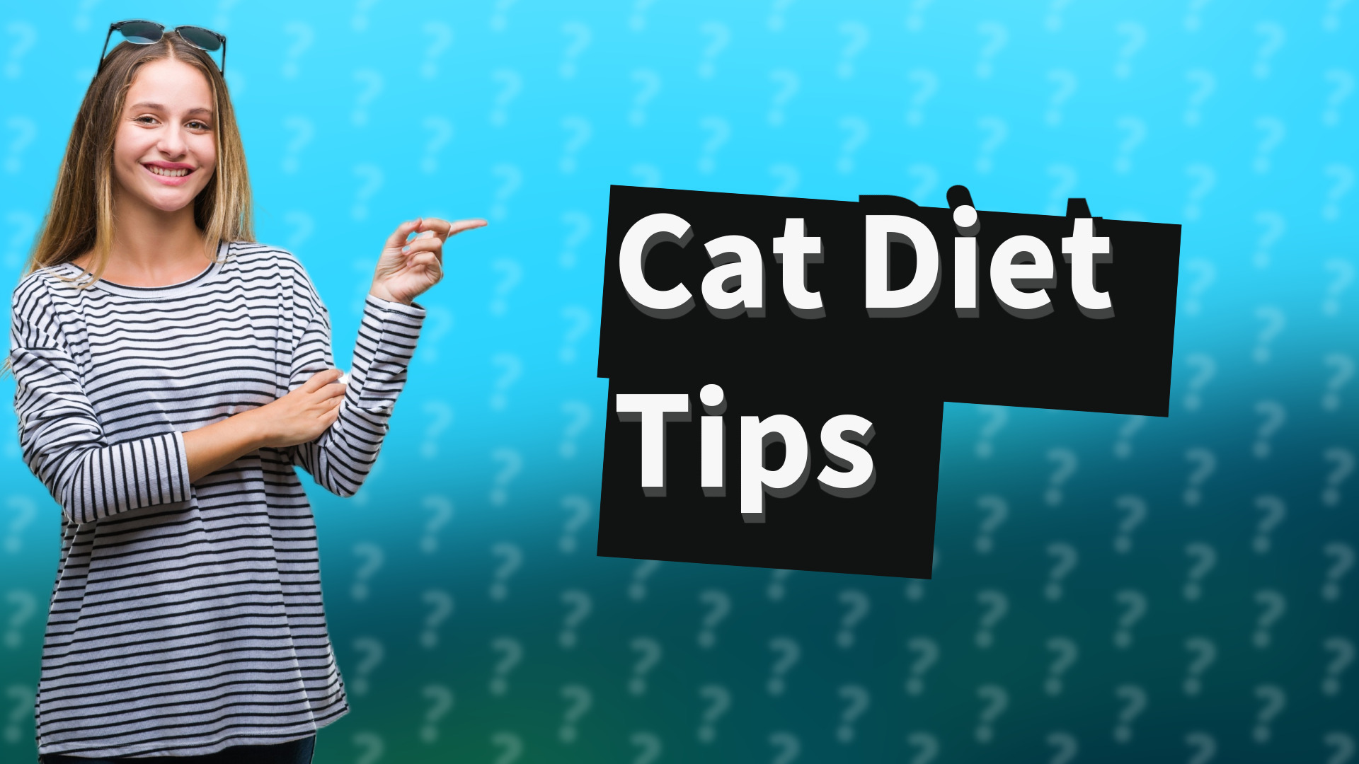 Cat Diet Tips