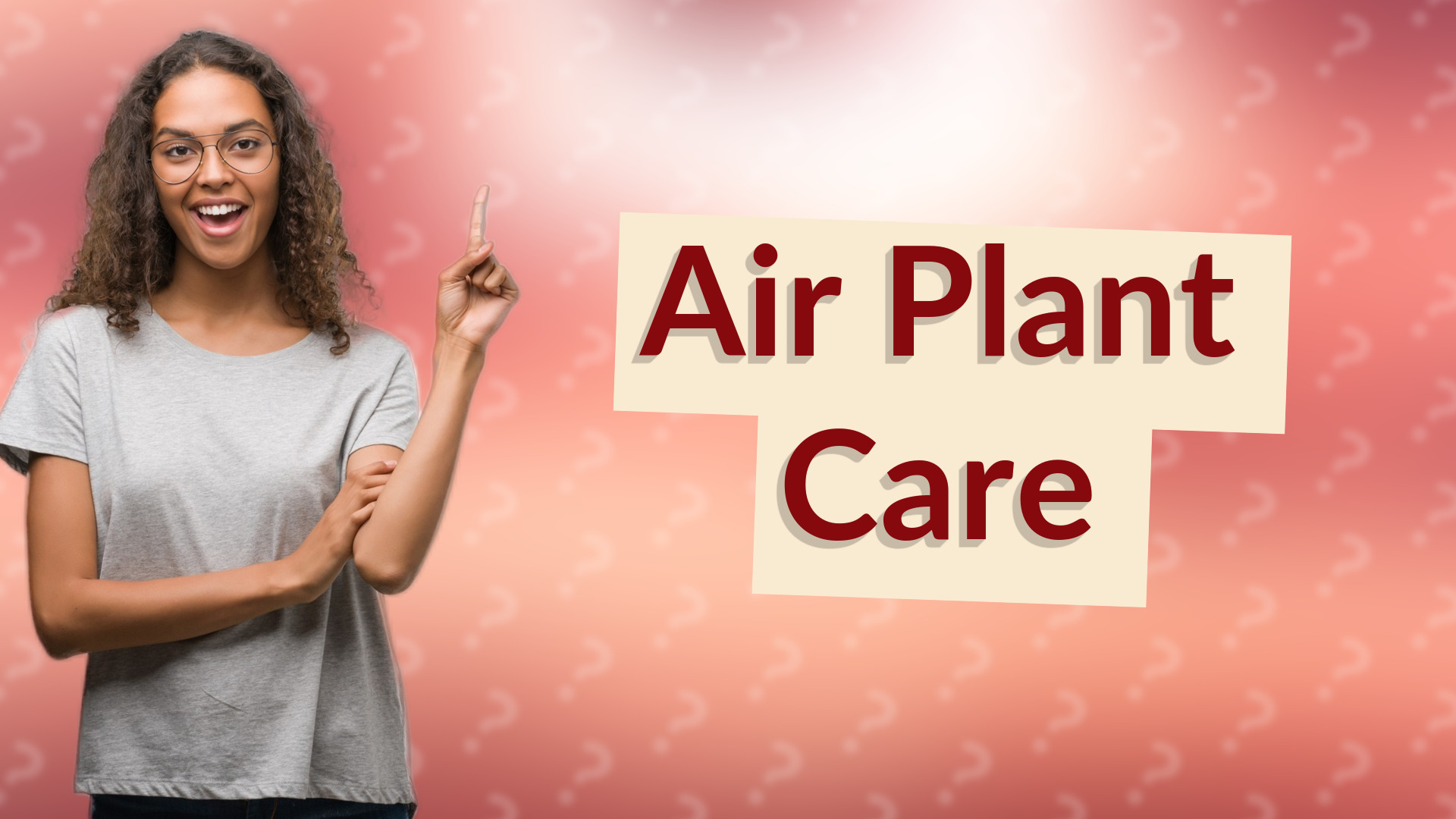 Air Plant Care