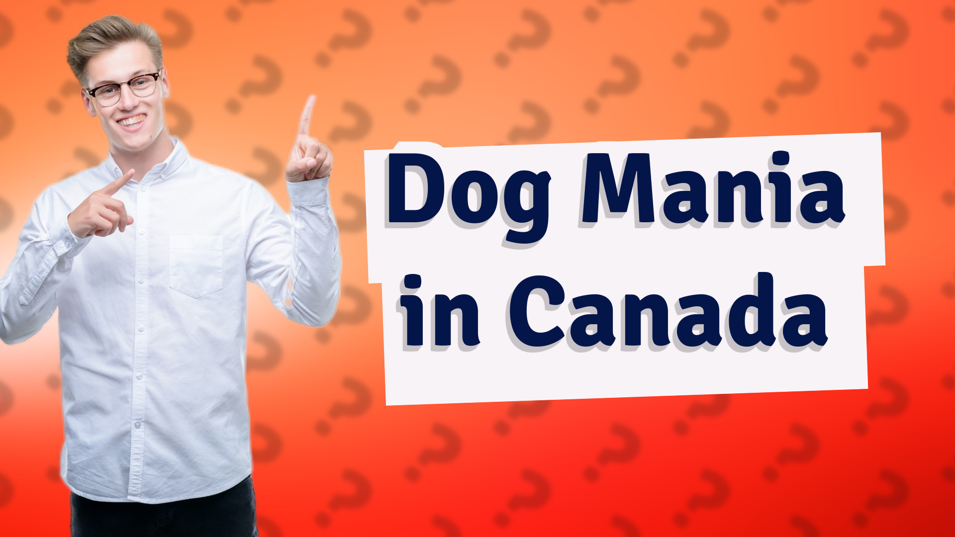 Dog Mania in Canada