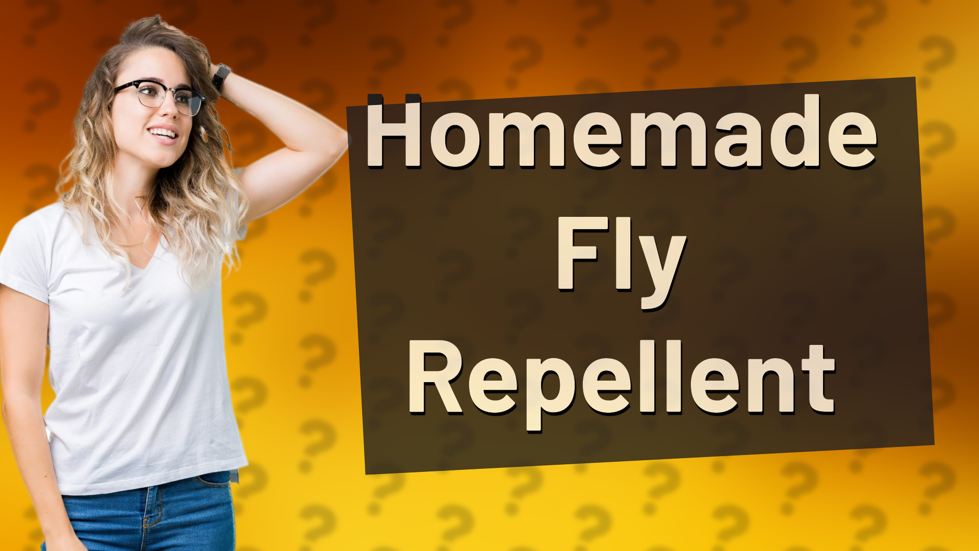 Homemade Fly Repellent