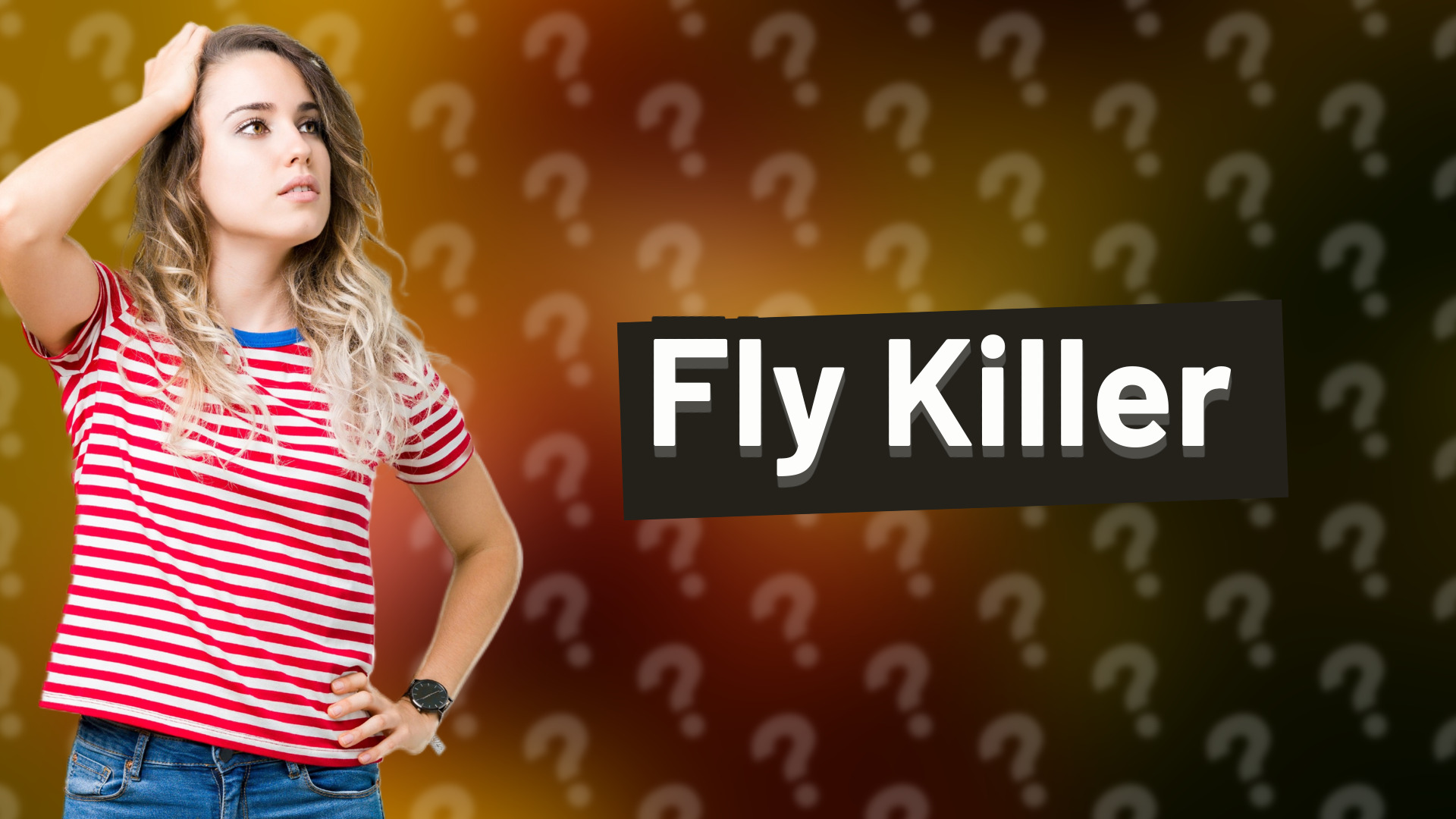 Fly Killer