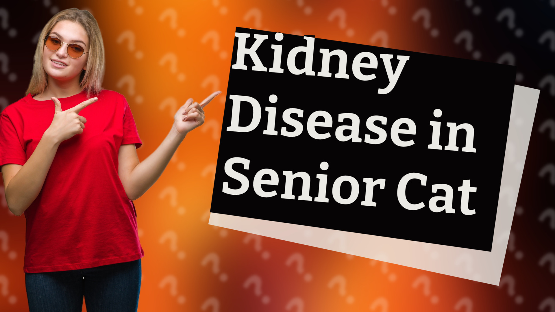 Kidney Disease in Senior Cat