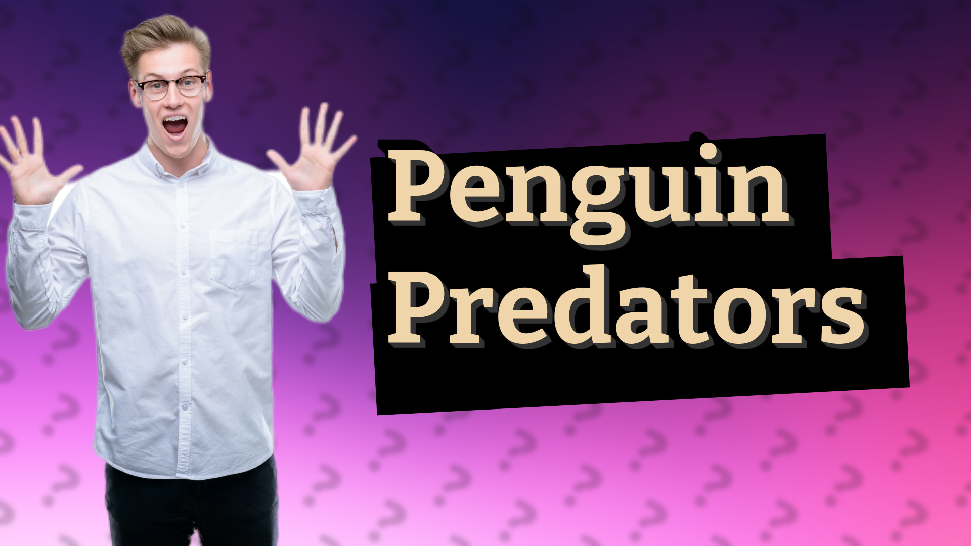 Penguin Predators