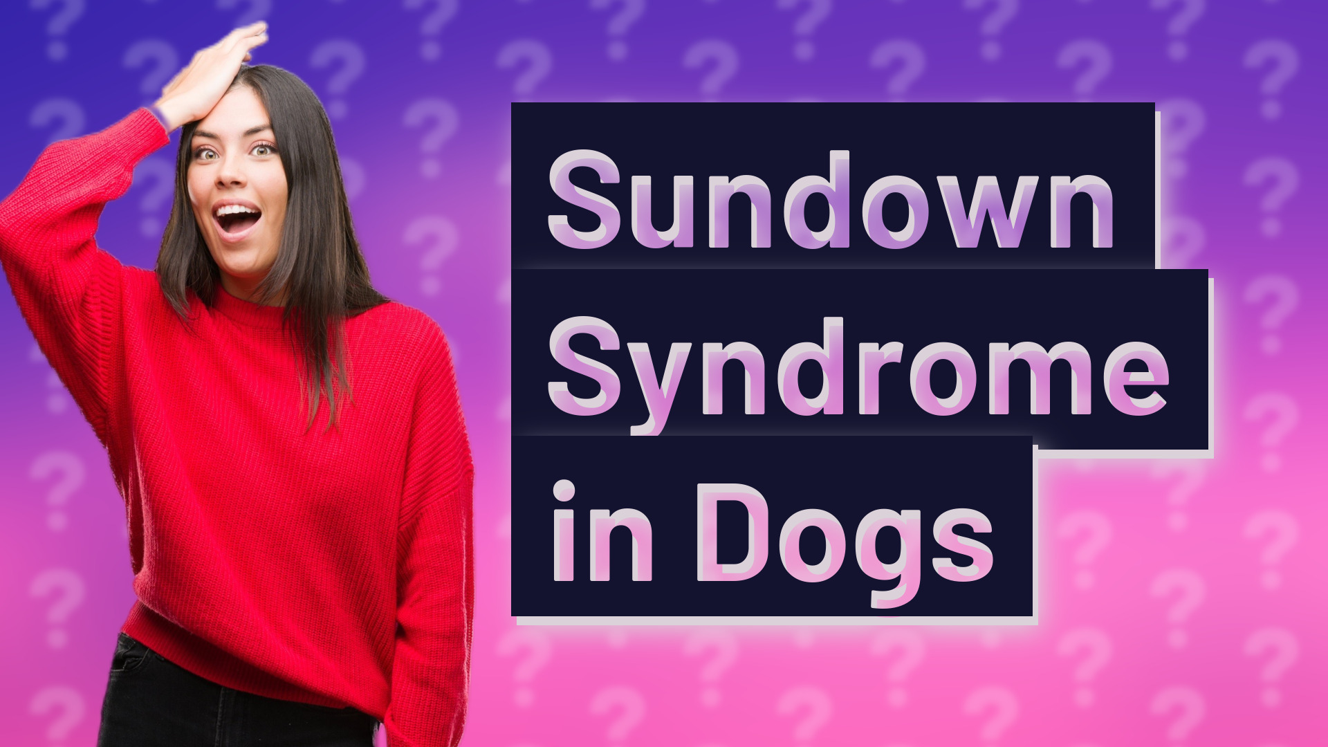 Sundown Syndrome in Dogs