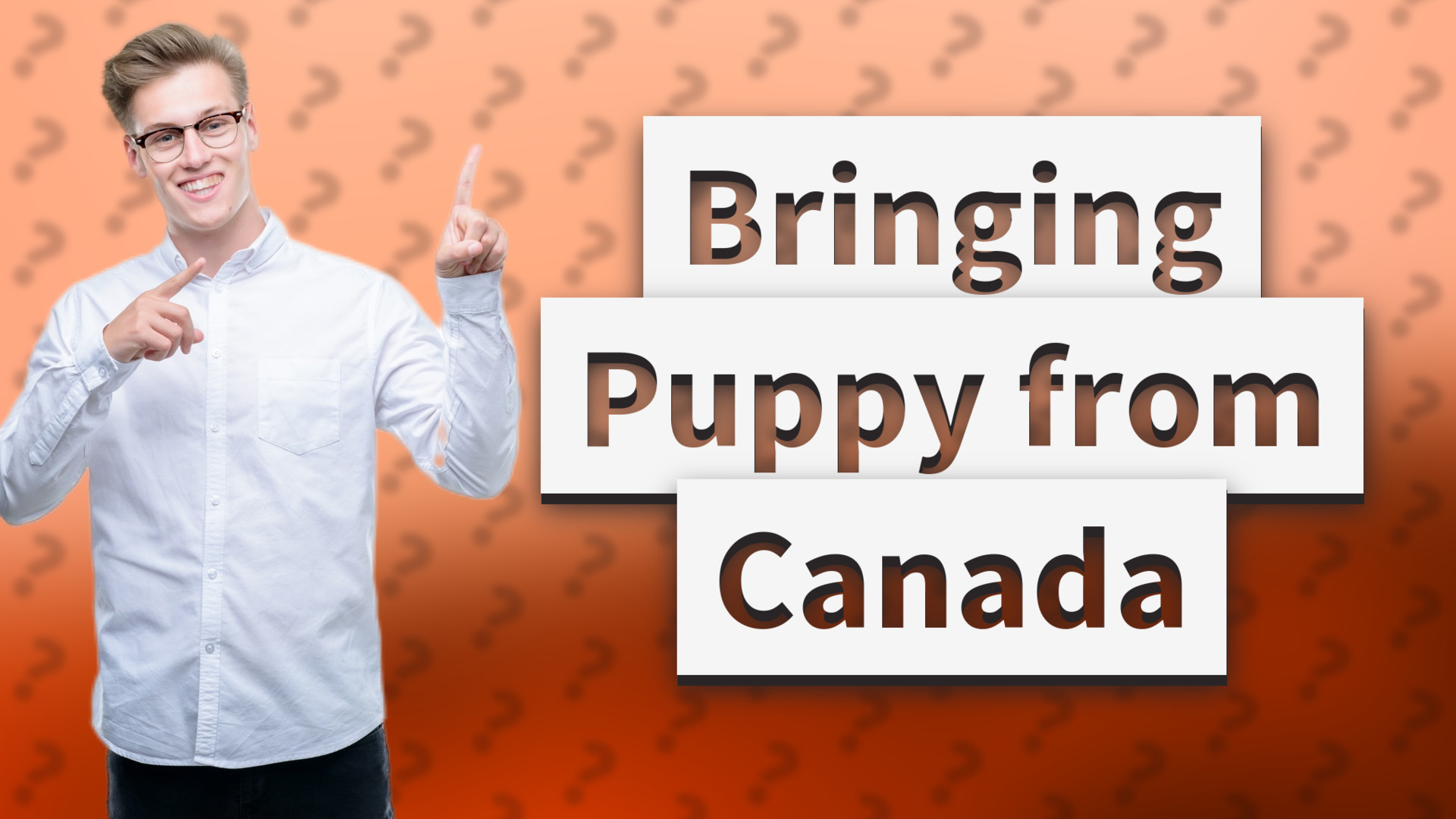 Bringing Puppy from Canada
