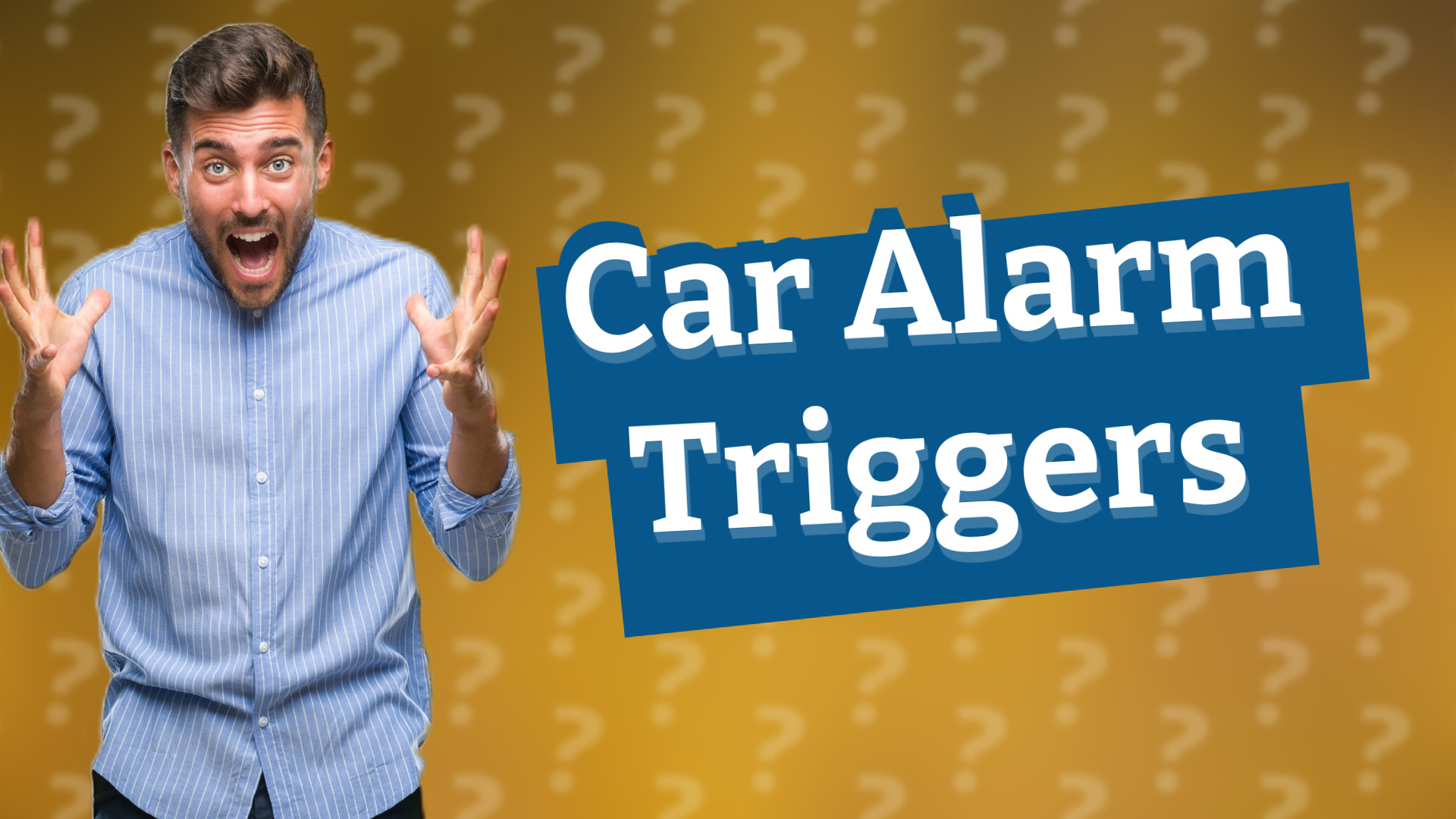 Car Alarm Triggers