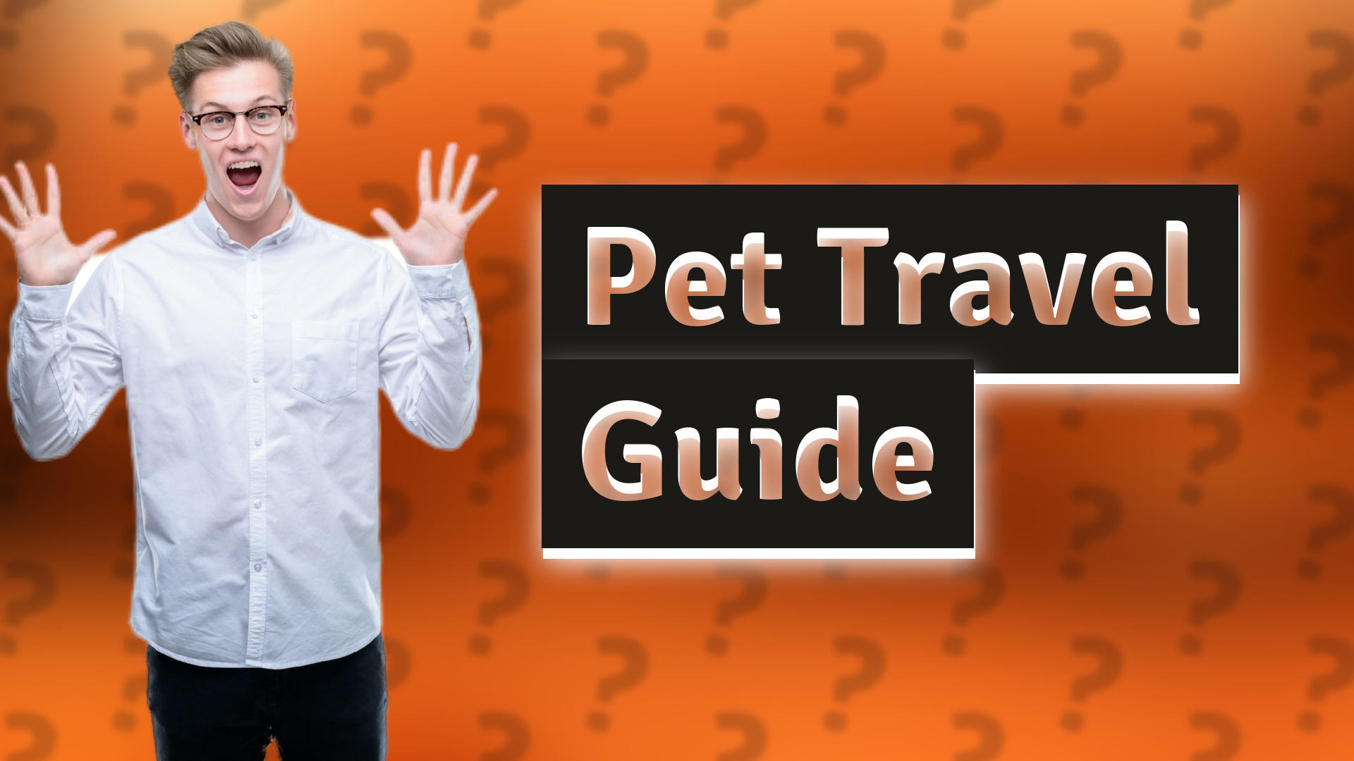 Pet Travel Guide