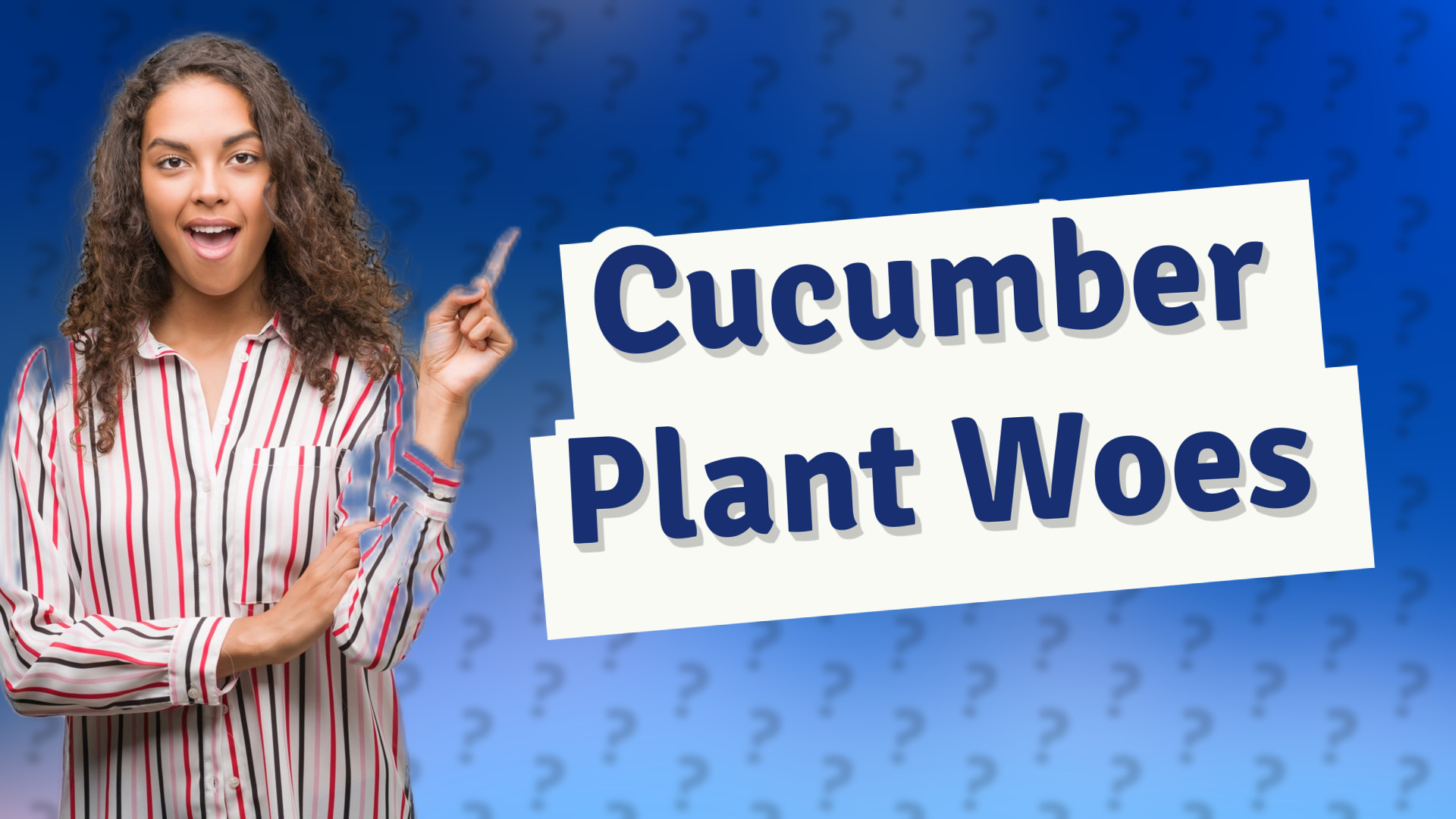 Cucumber Plant Woes