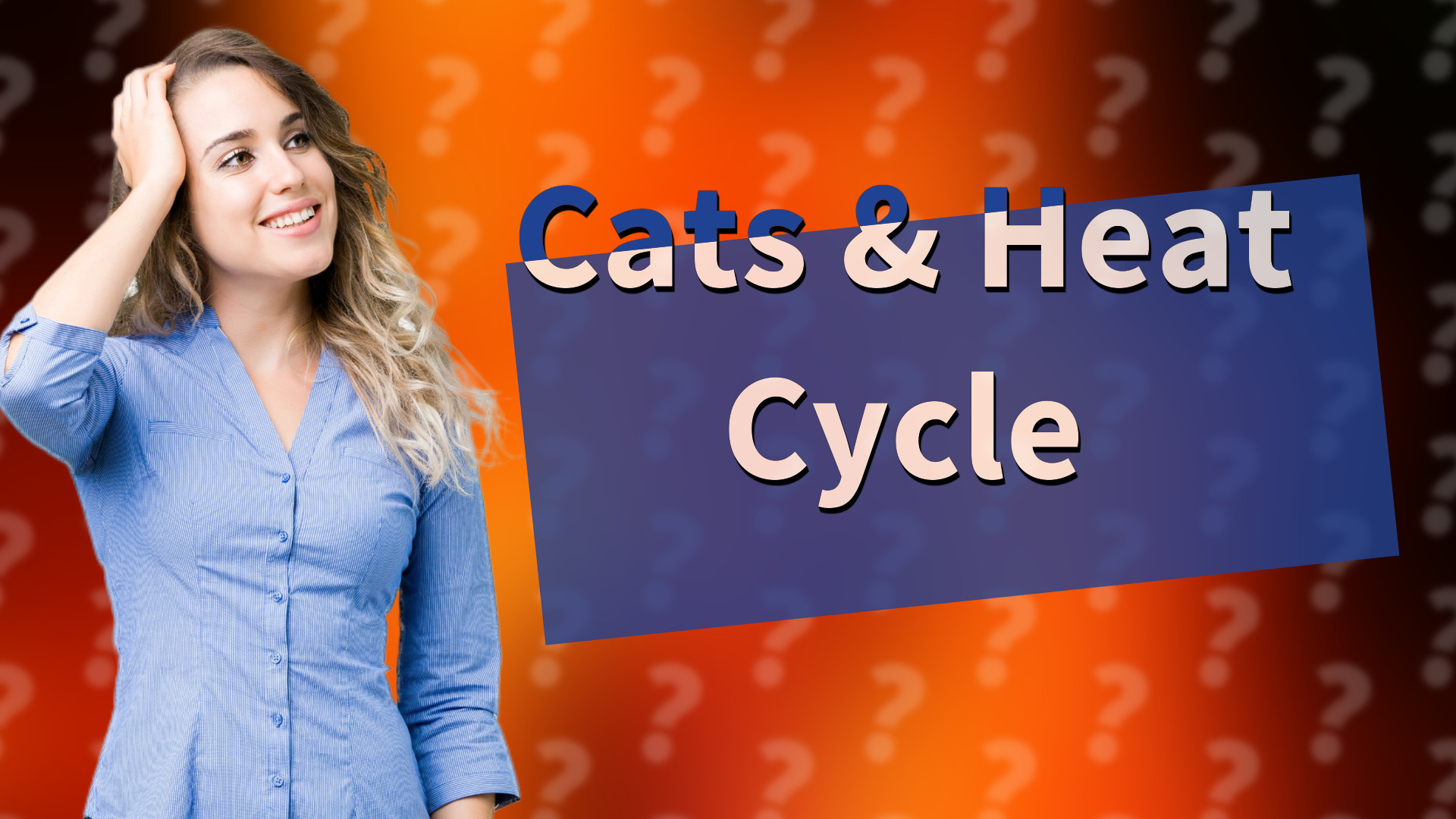 Cats & Heat Cycle