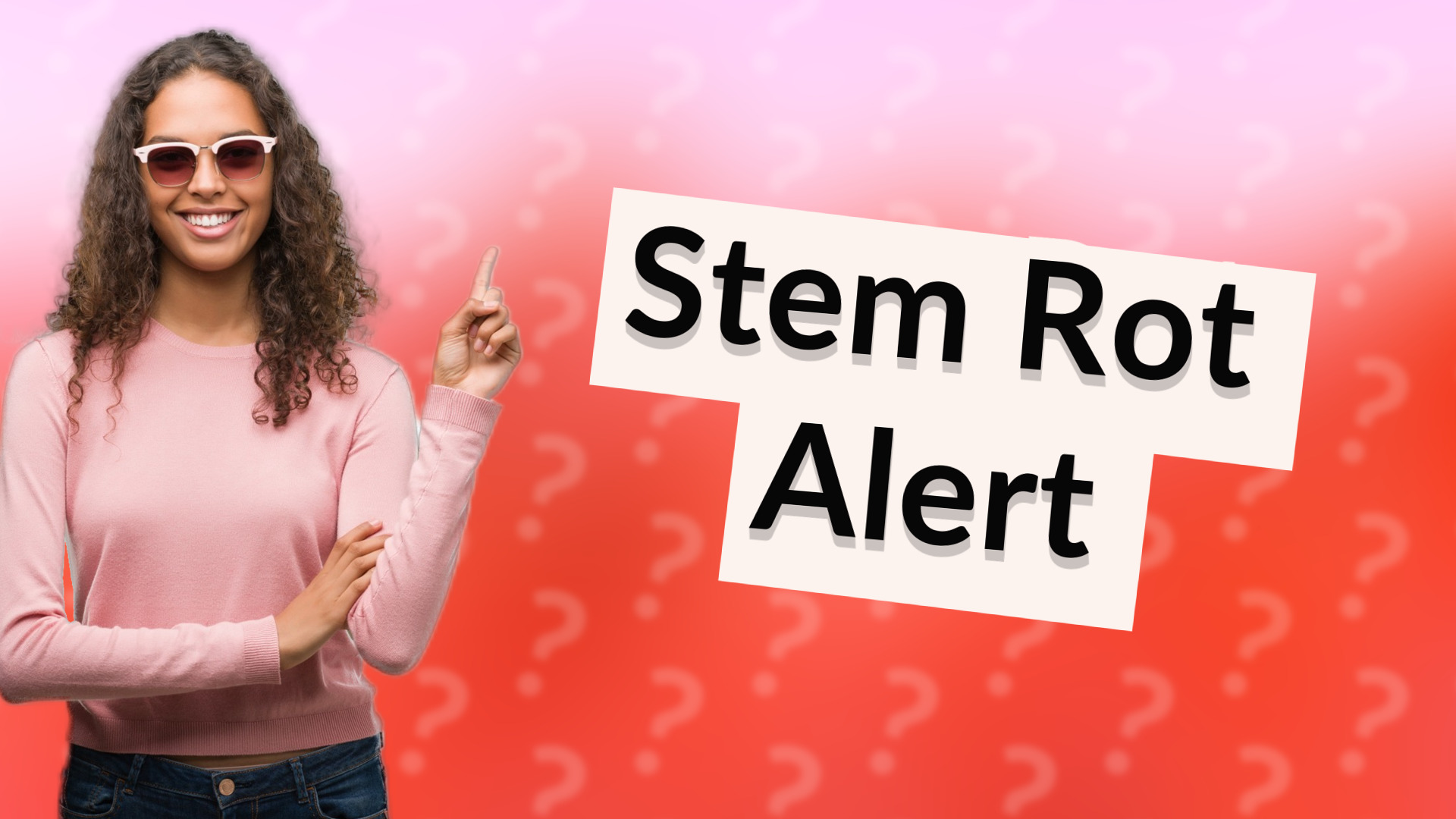 Stem Rot Alert