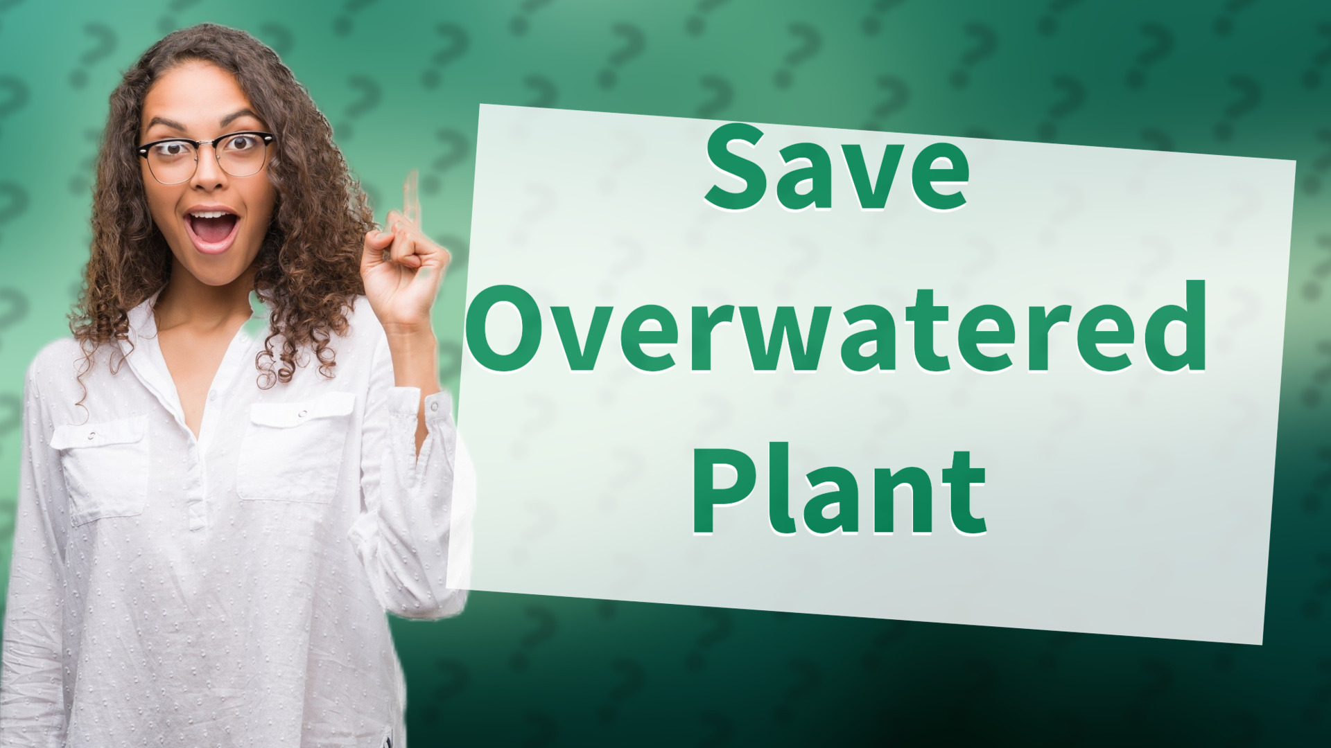 Save Overwatered Plant