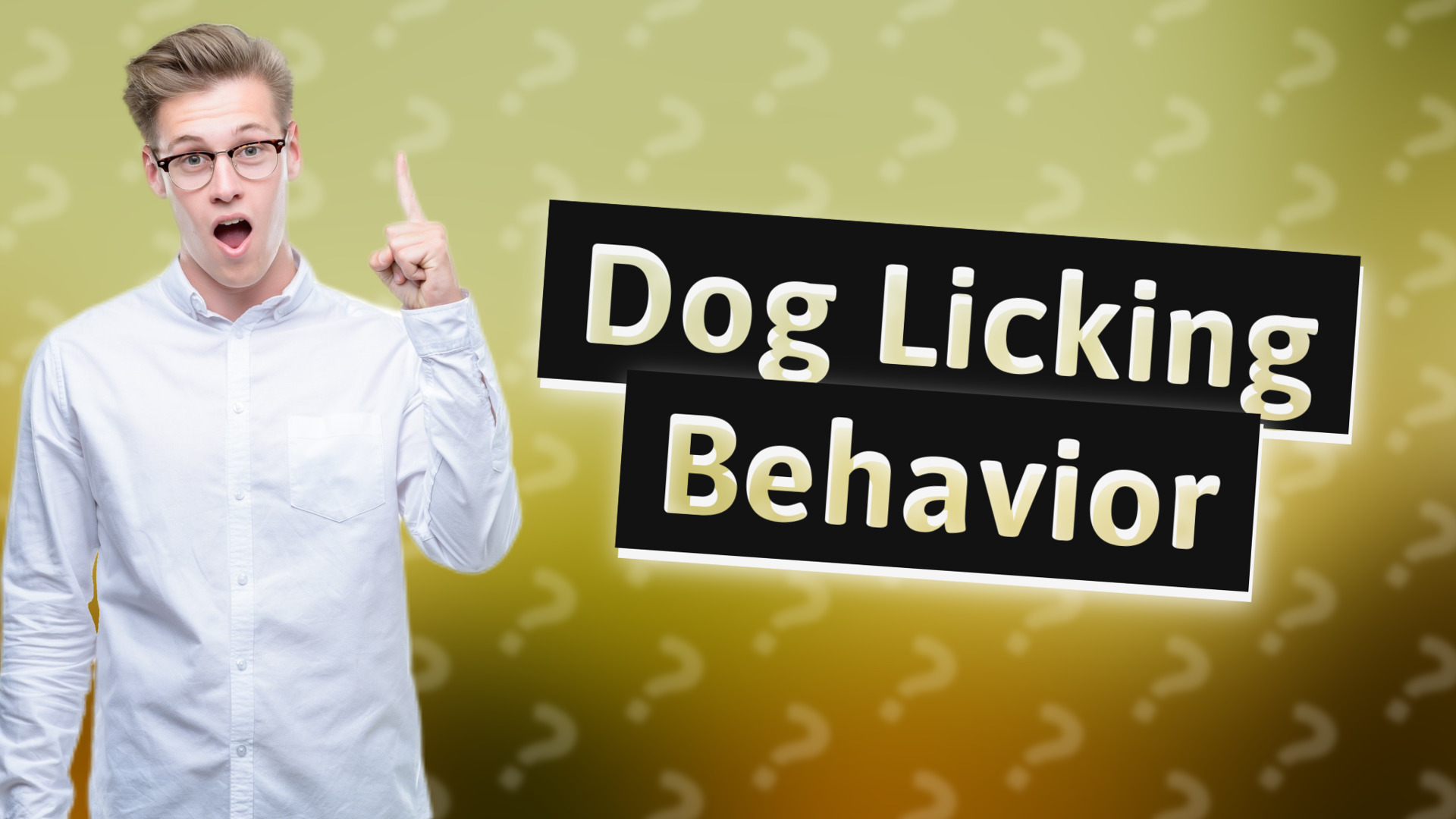 Dog Licking Behavior