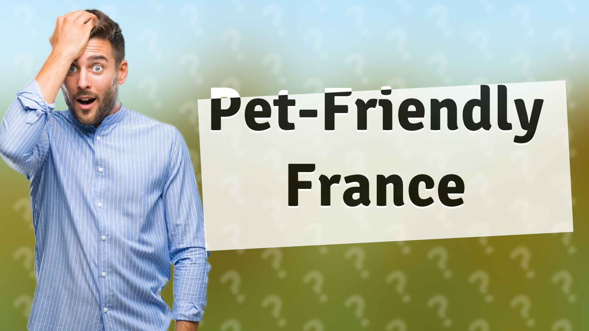 Pet-Friendly France