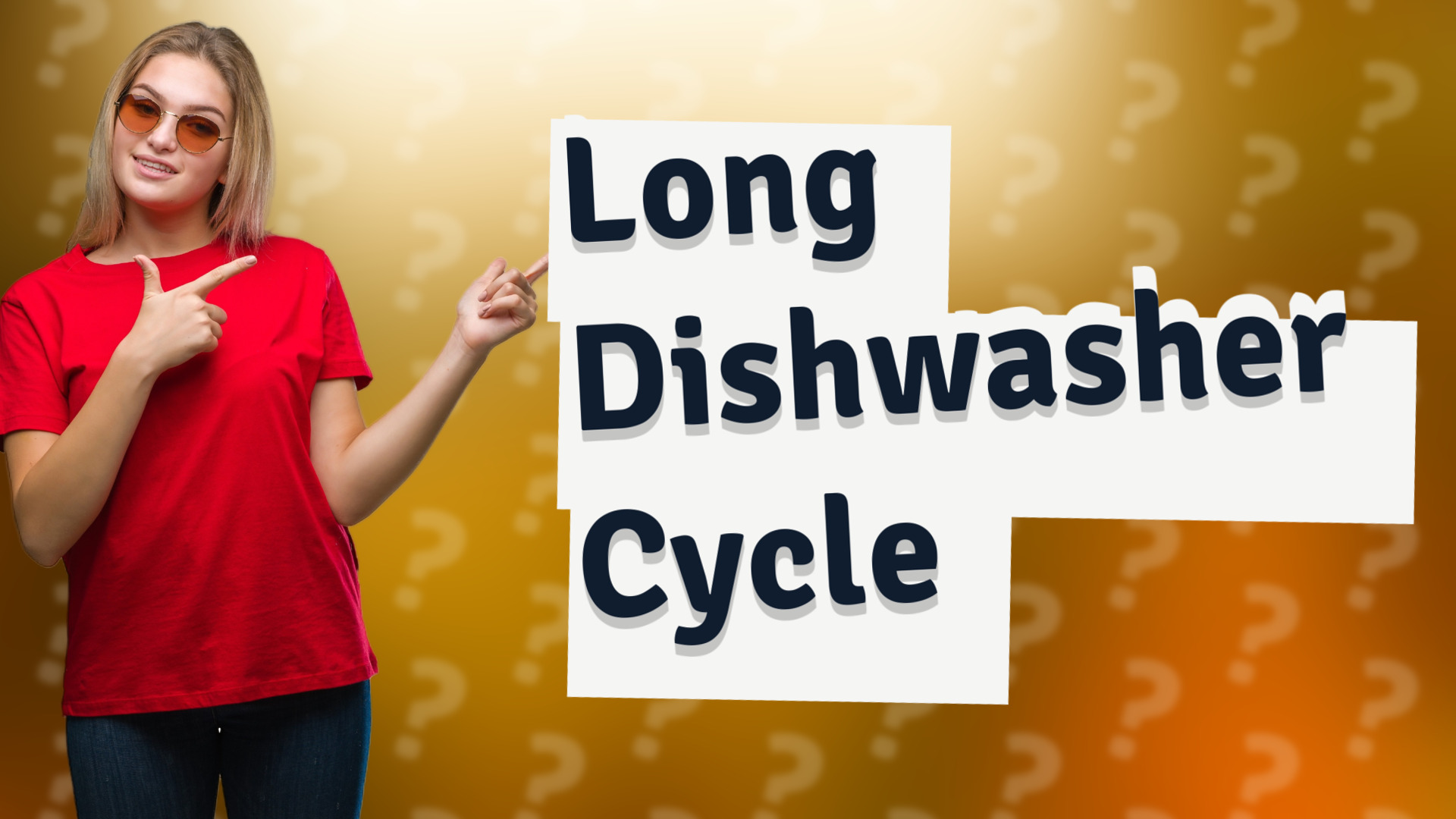 Long Dishwasher Cycle