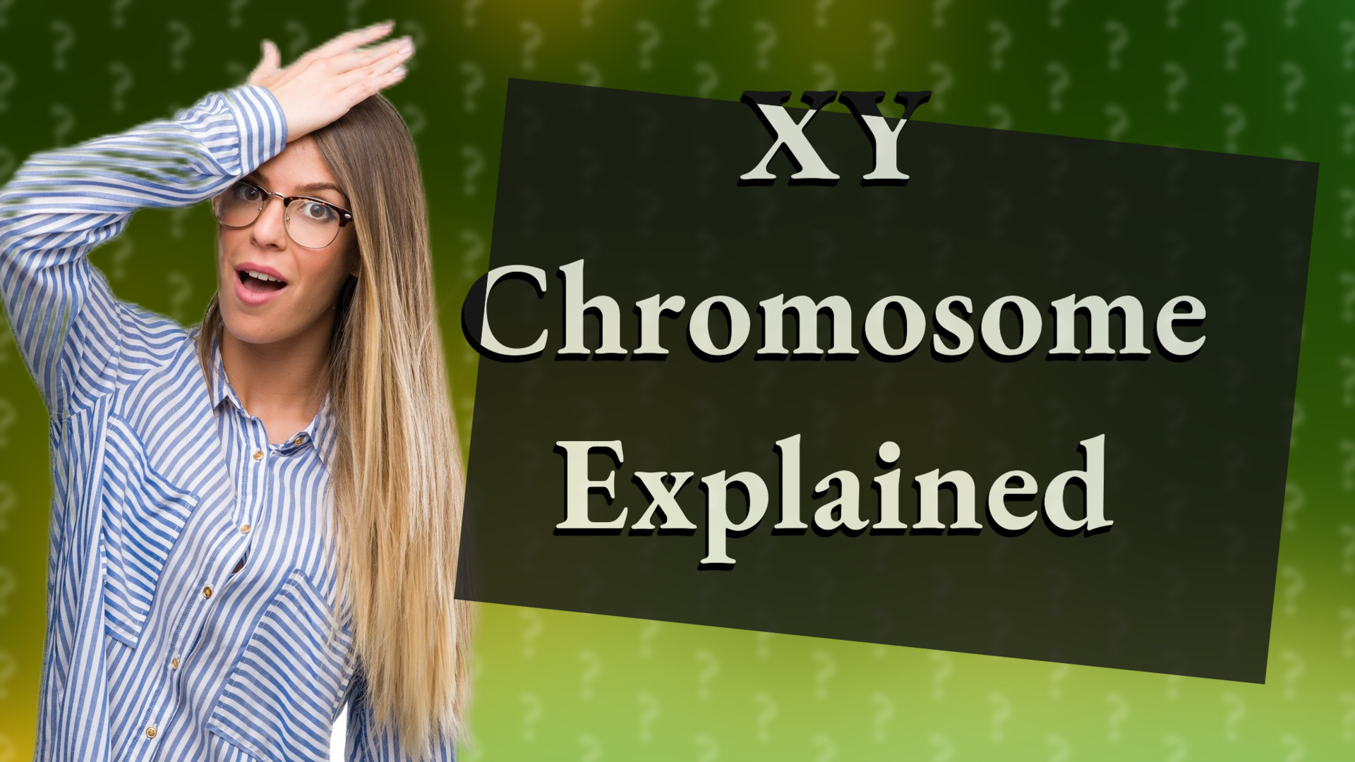 XY Chromosome Explained