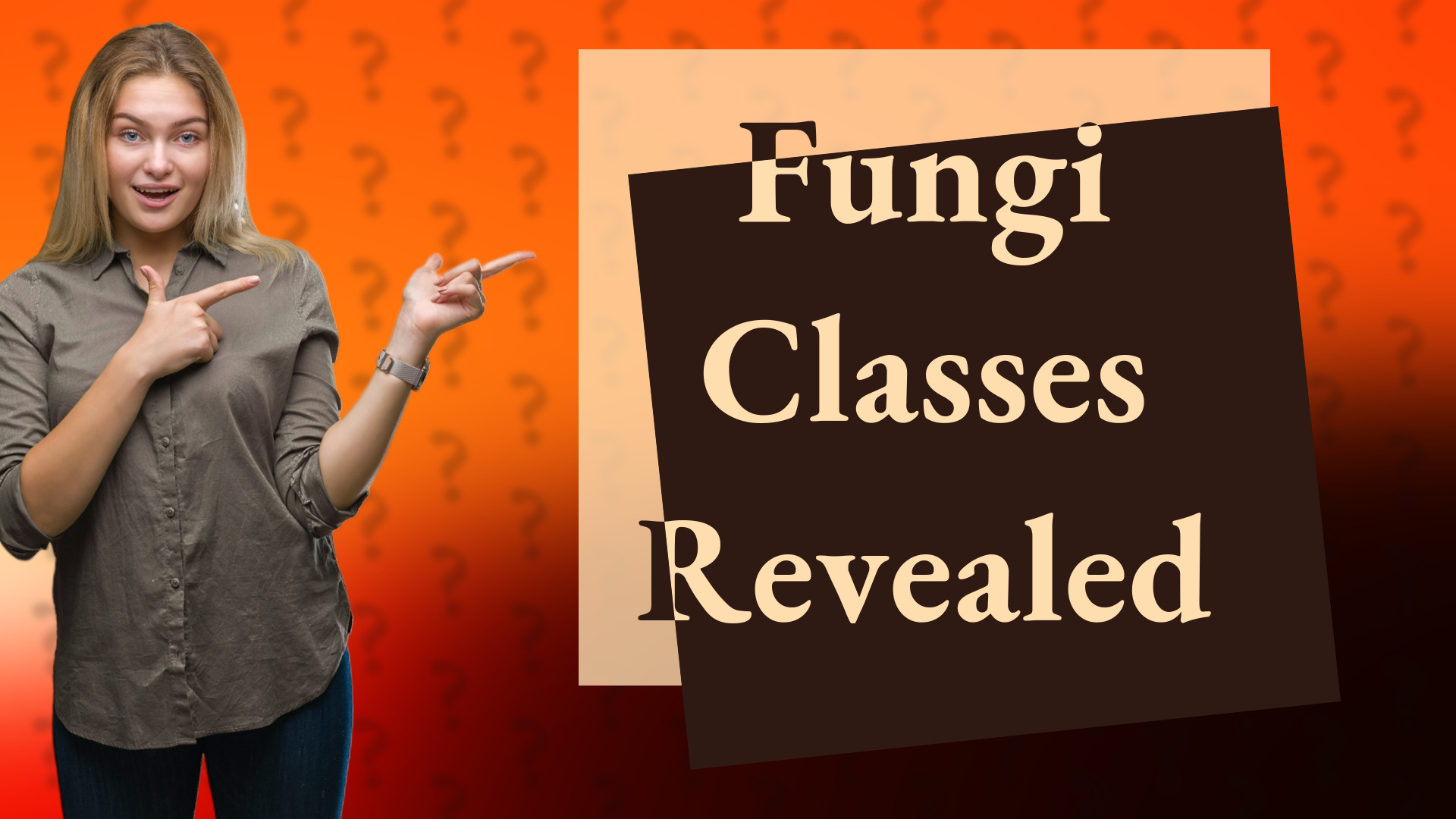 Fungi Classes Revealed