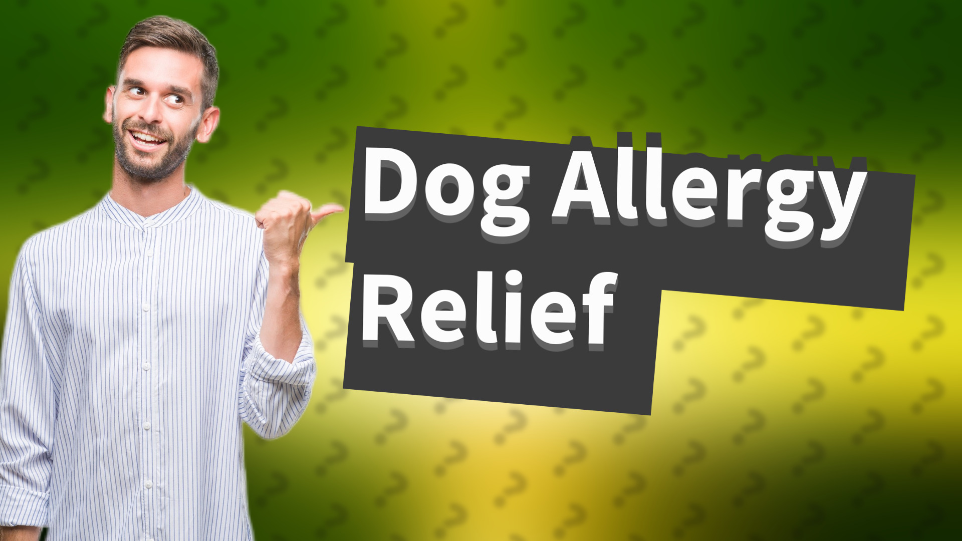 Dog Allergy Relief